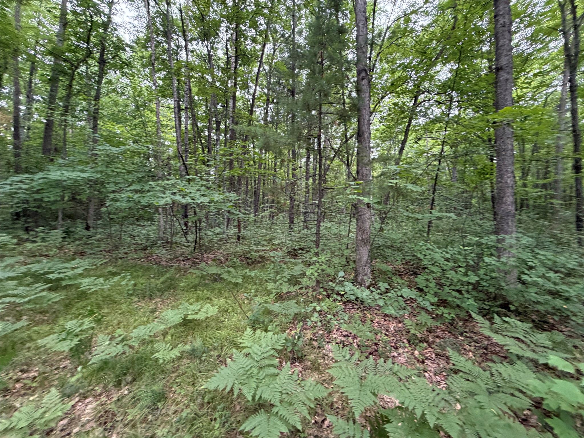 Lot 1 Nor Wis Road Property Photo 10