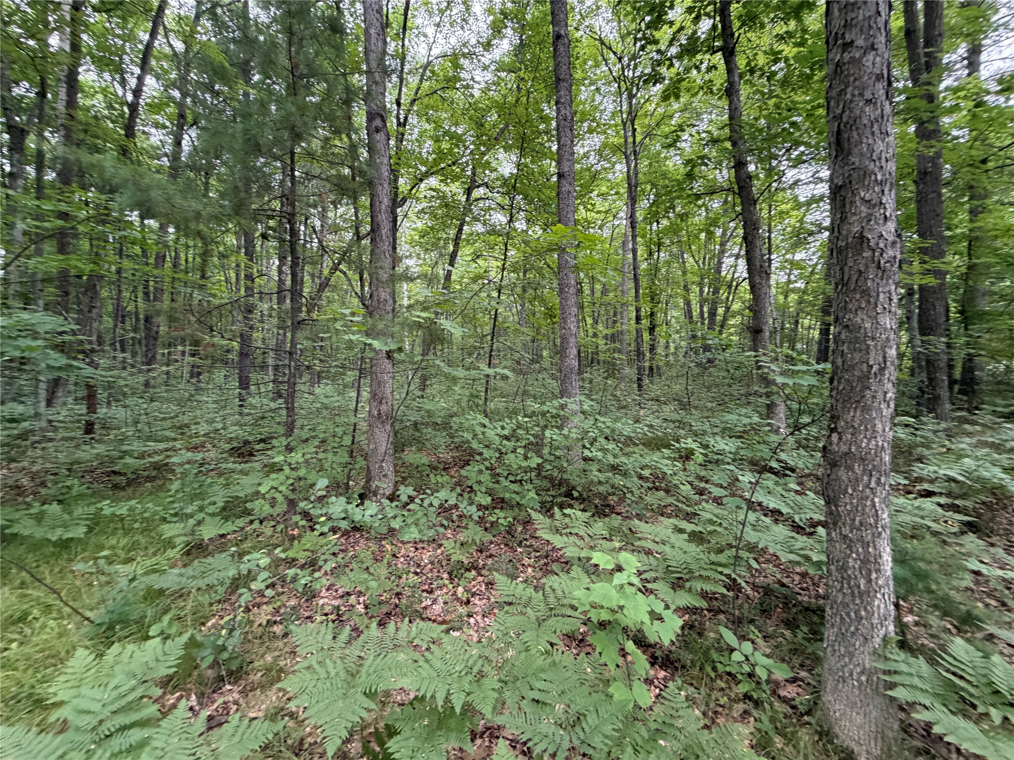 Lot 1 Nor Wis Road Property Photo 11