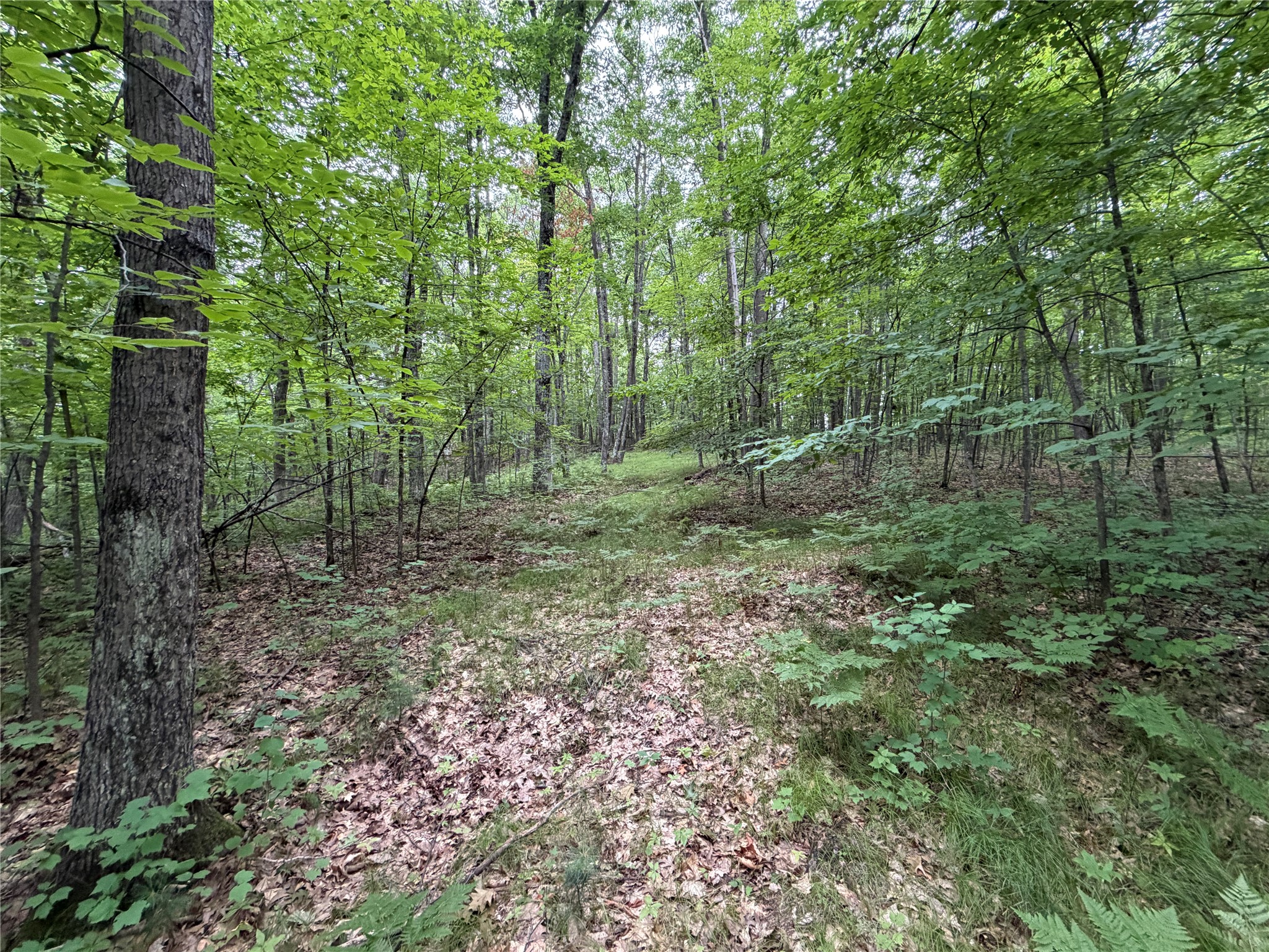 Lot 1 Nor Wis Road Property Photo 12