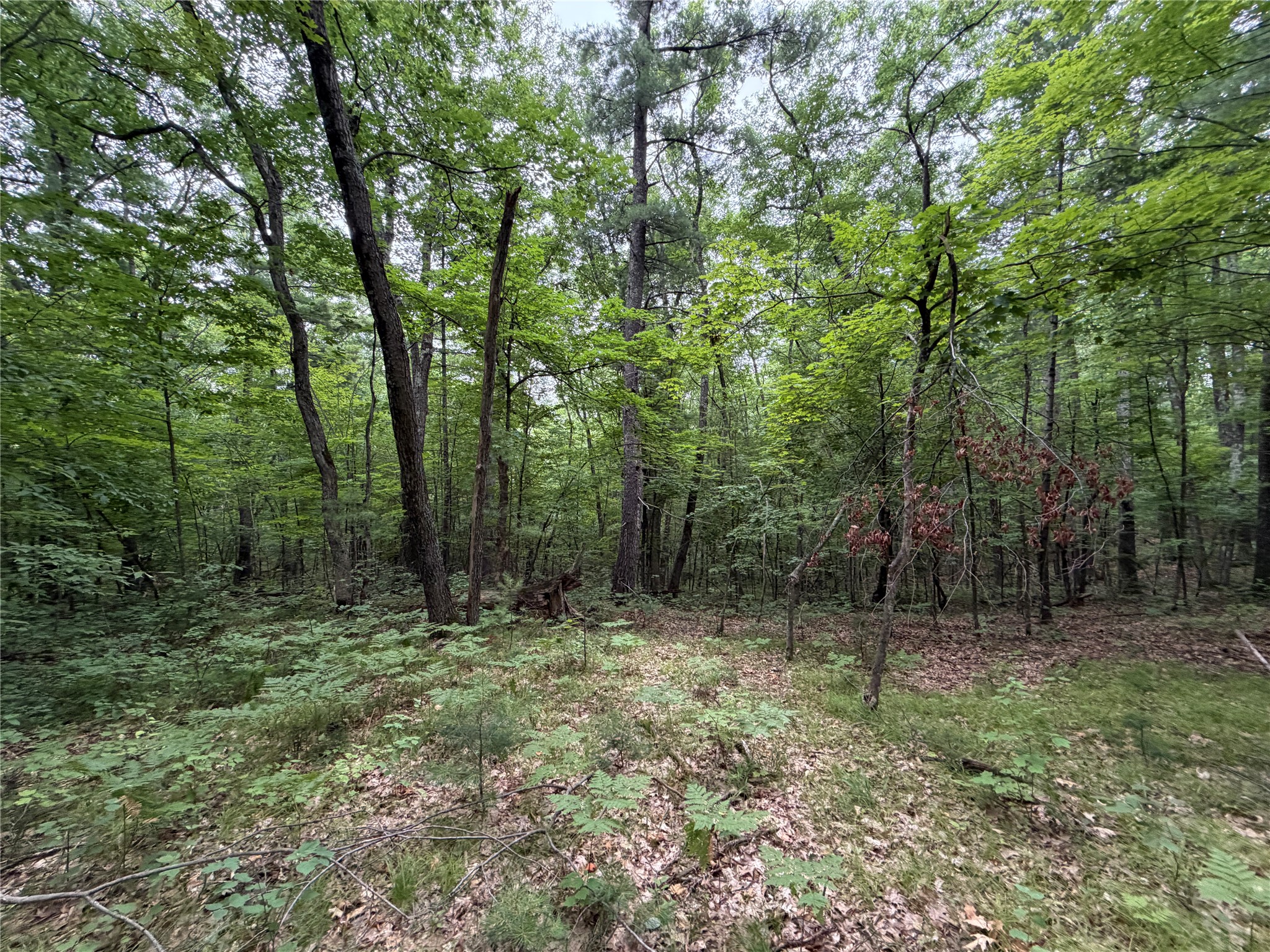 Lot 1 Nor Wis Road Property Photo 13