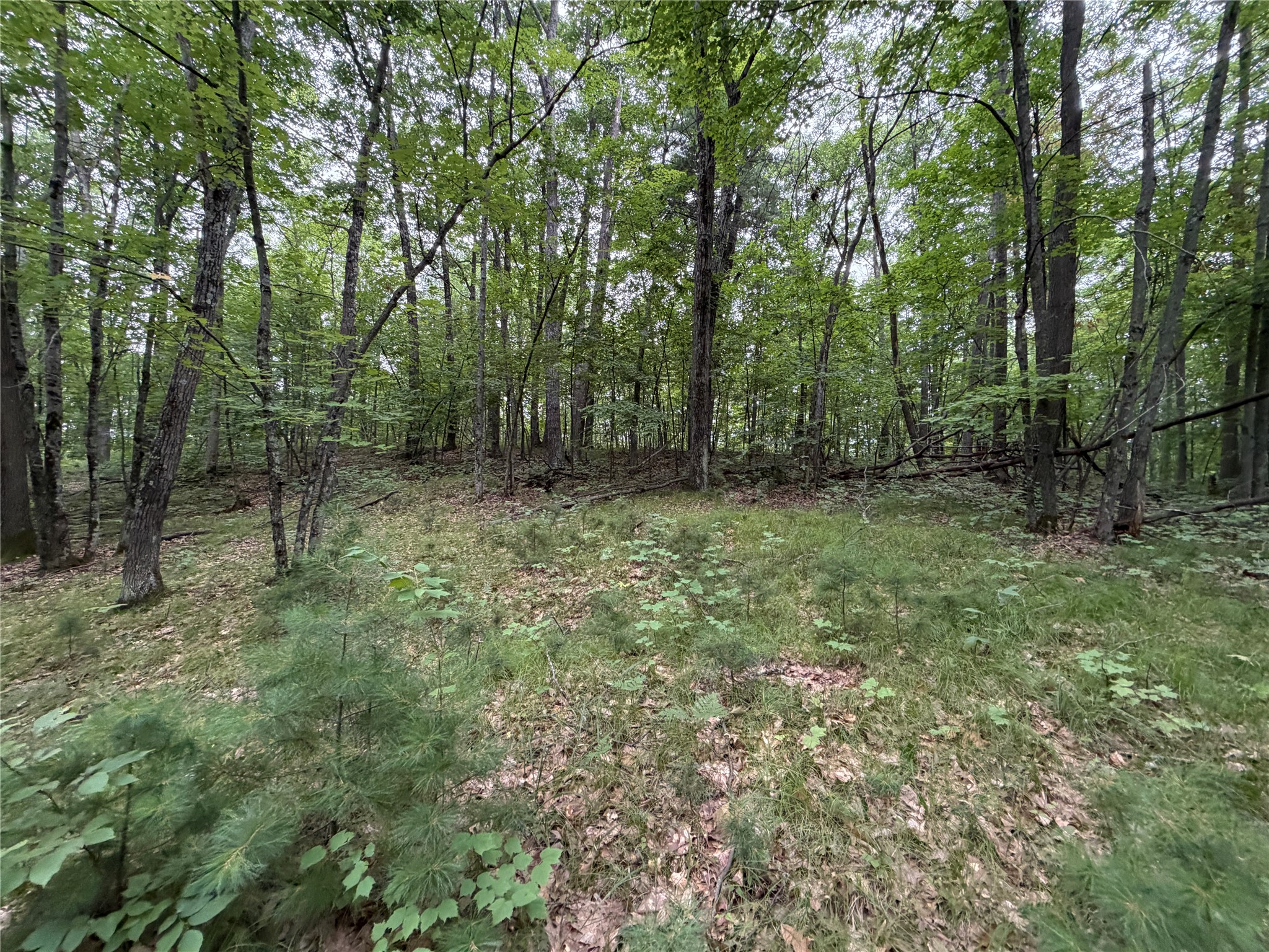 Lot 1 Nor Wis Road Property Photo 14