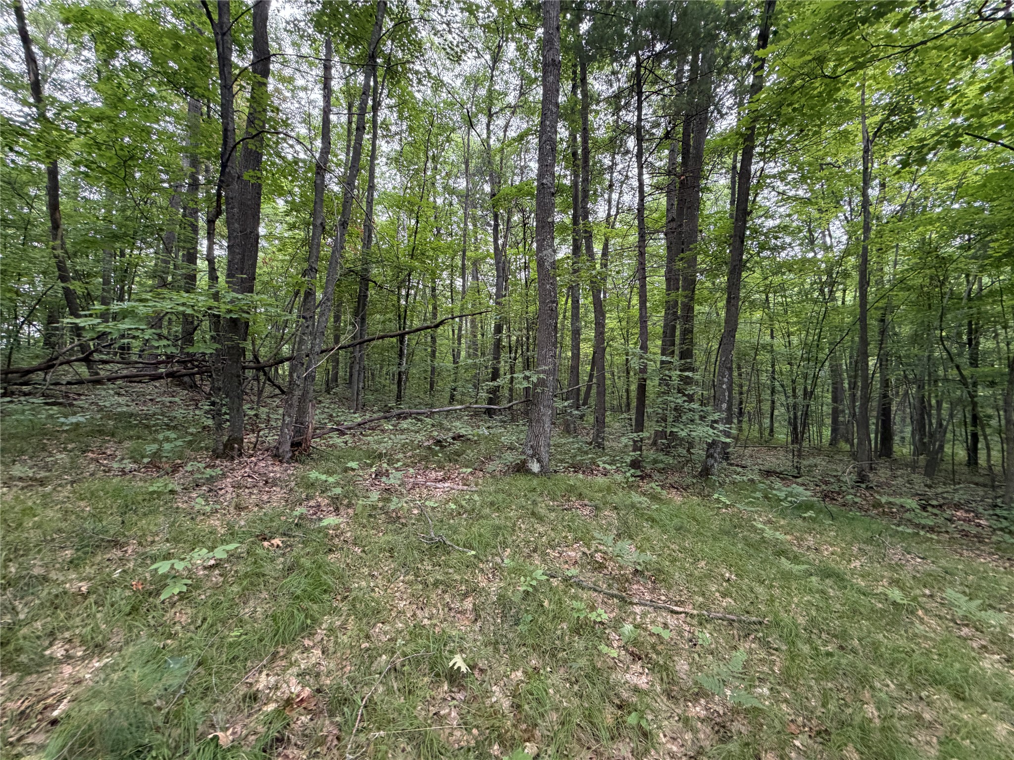 Lot 1 Nor Wis Road Property Photo 15