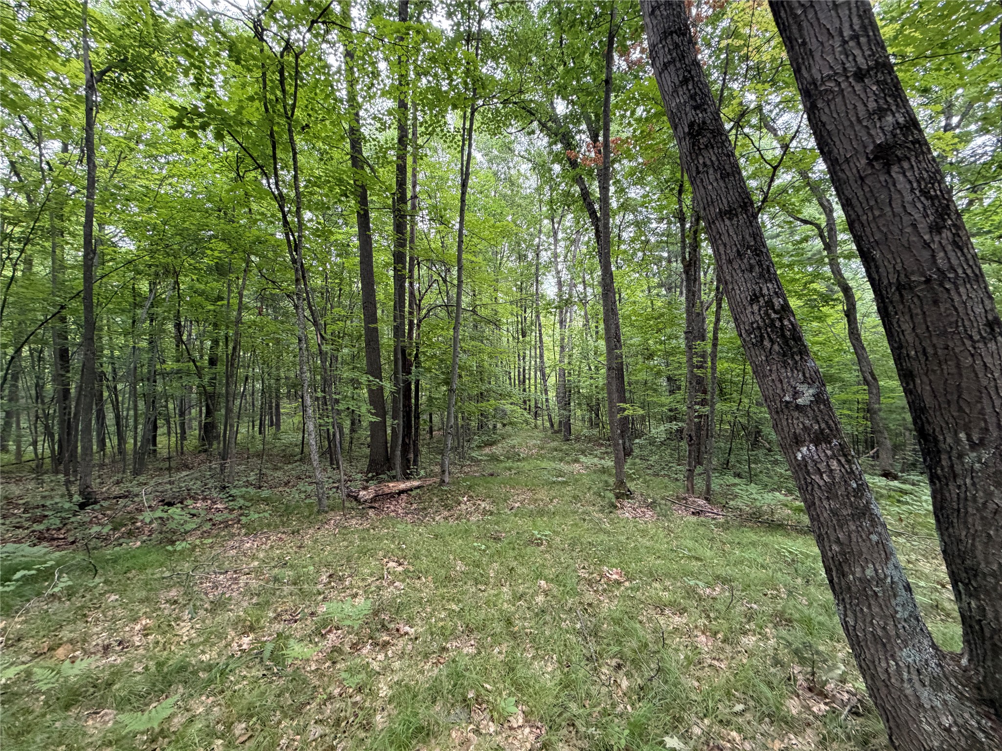 Lot 1 Nor Wis Road Property Photo 16