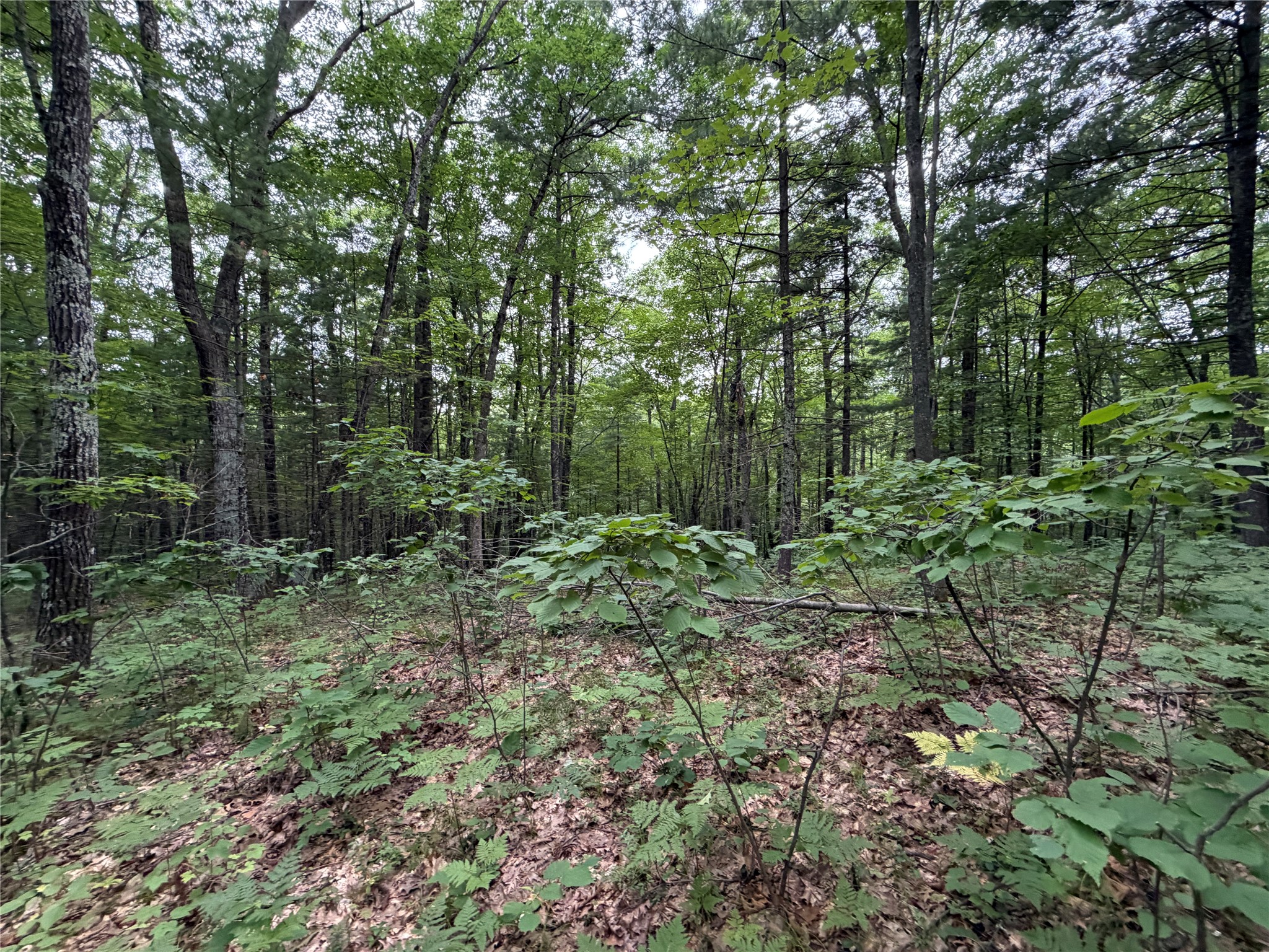 Lot 1 Nor Wis Road Property Photo 17