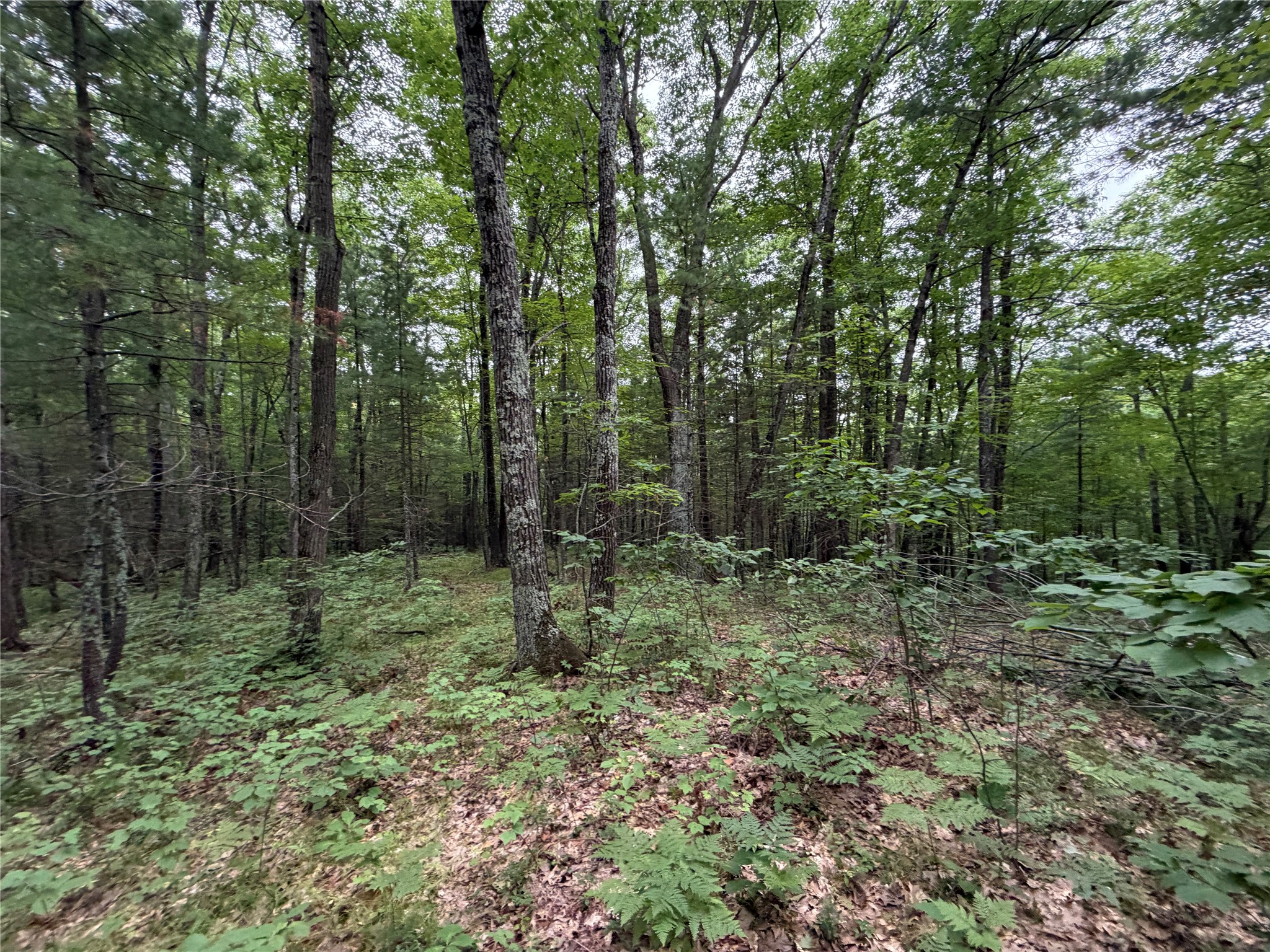 Lot 1 Nor Wis Road Property Photo 18