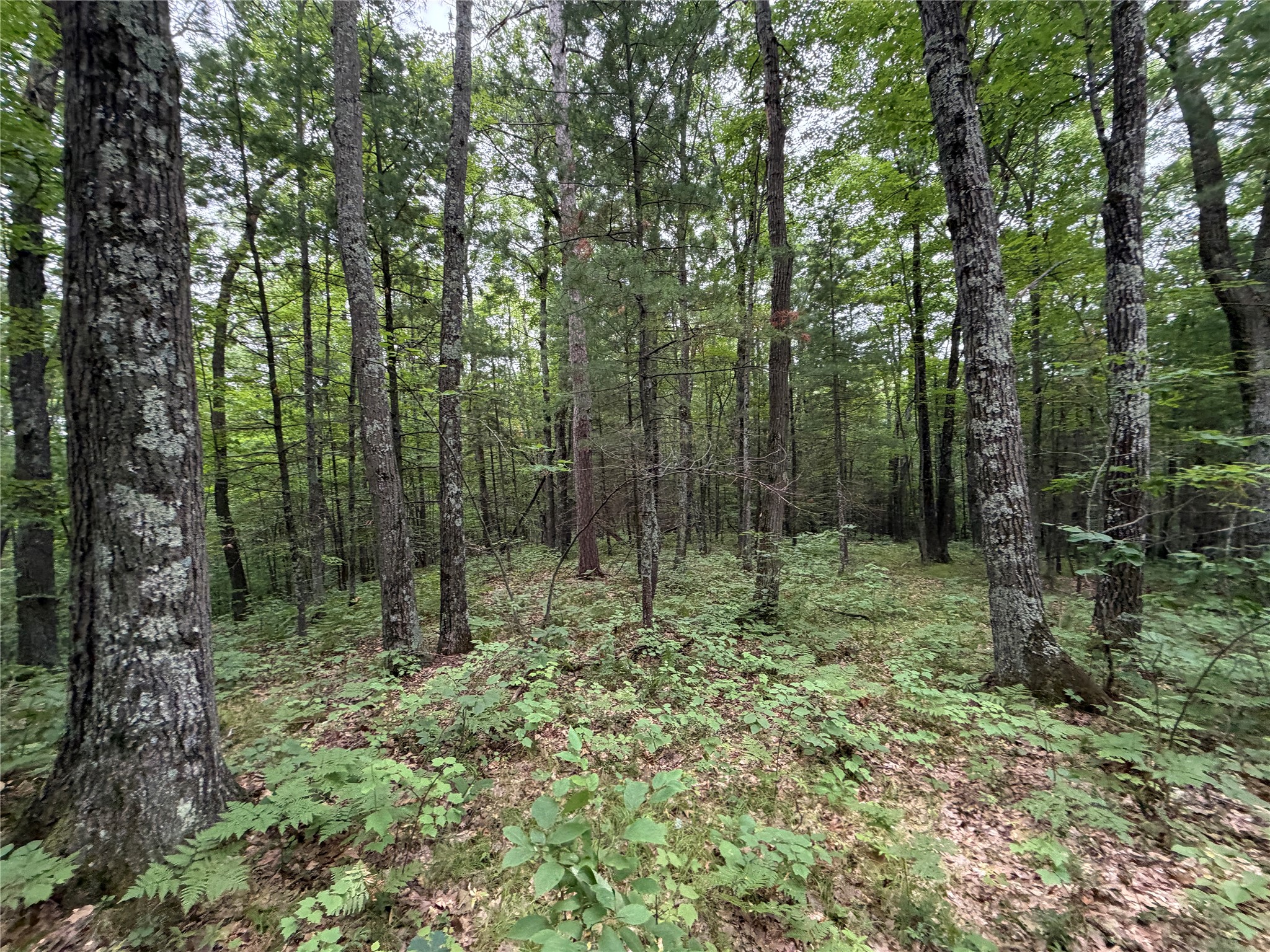 Lot 1 Nor Wis Road Property Photo 19