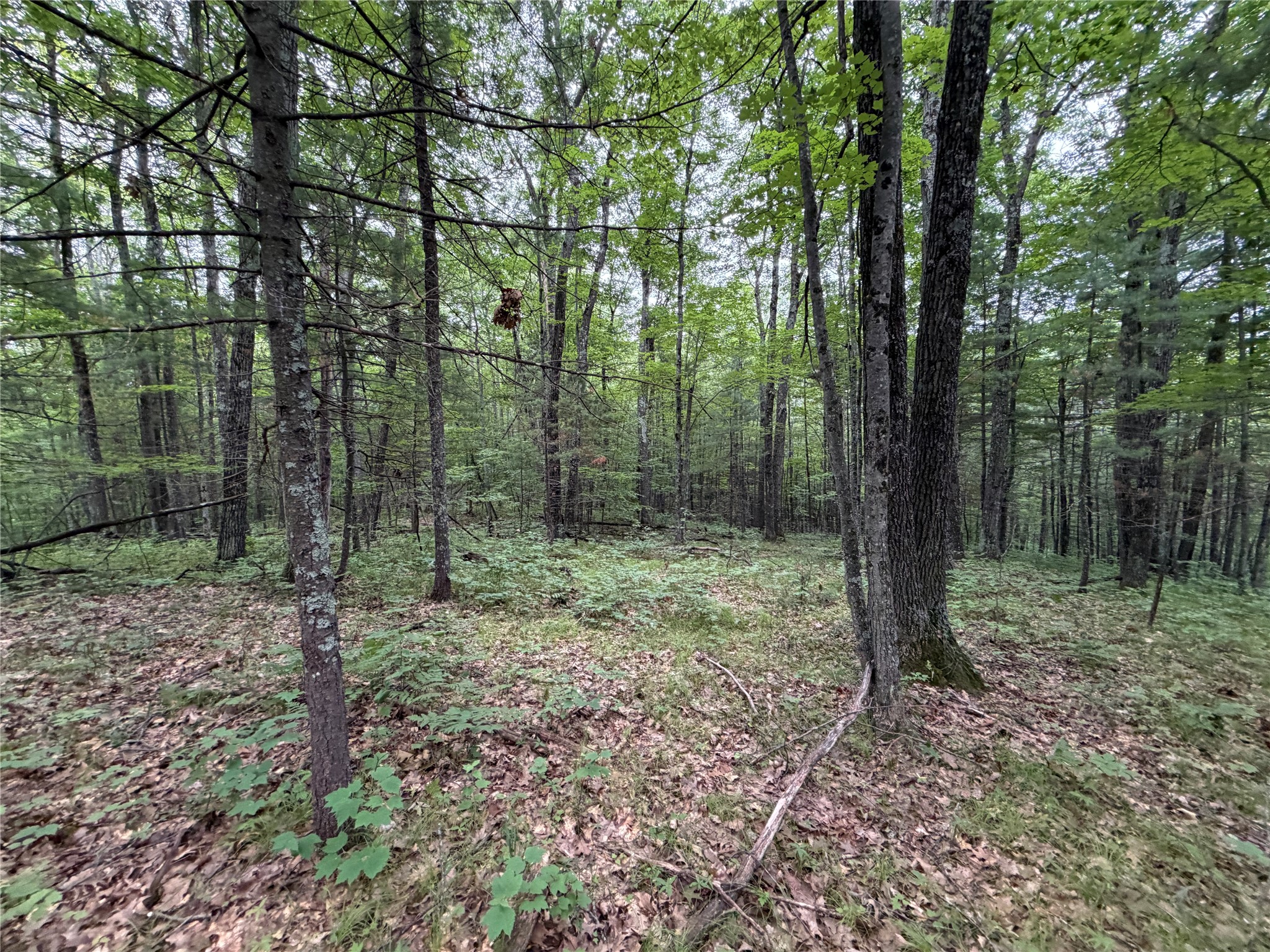 Lot 1 Nor Wis Road Property Photo 20