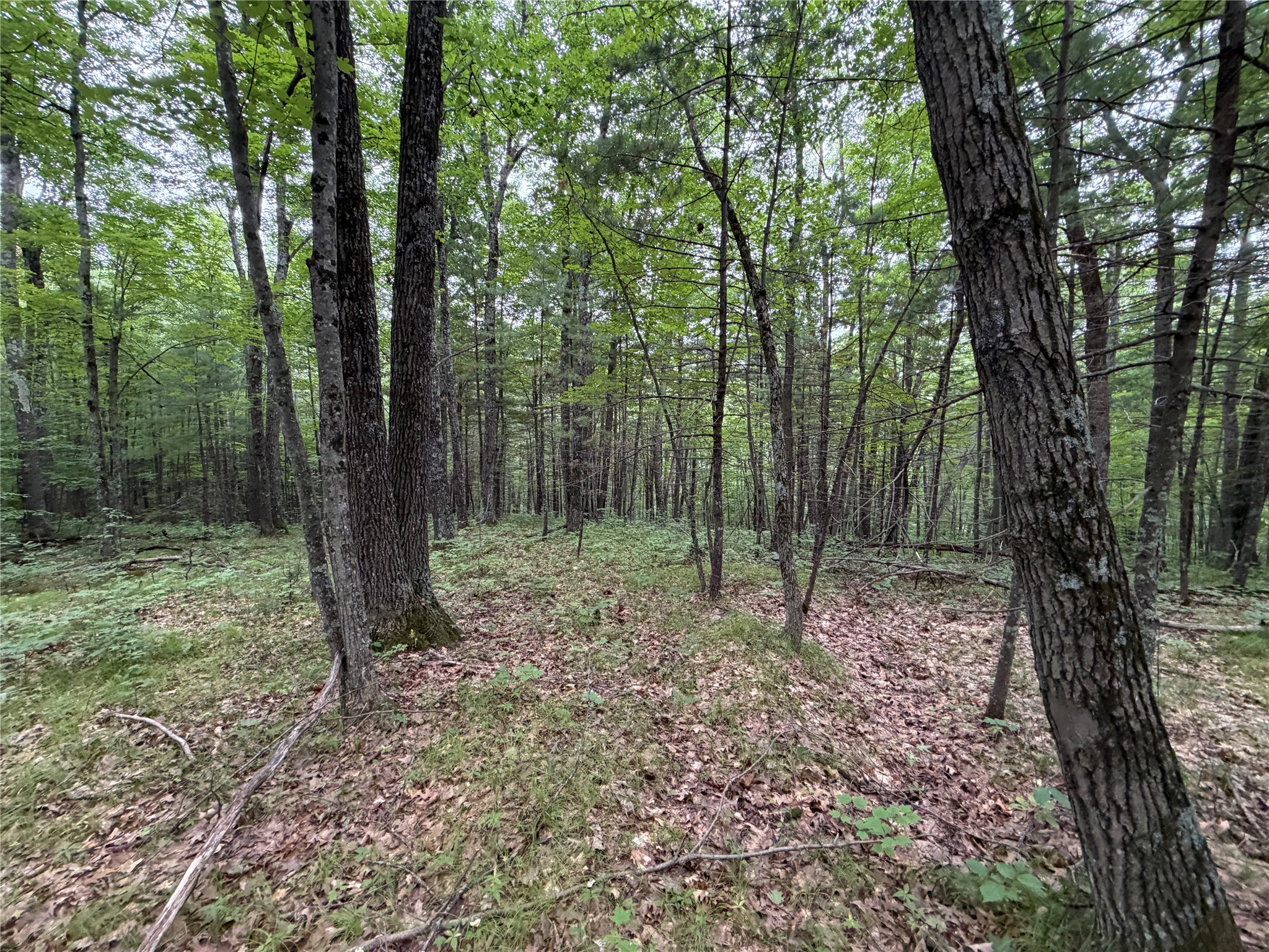 Lot 1 Nor Wis Road Property Photo 21