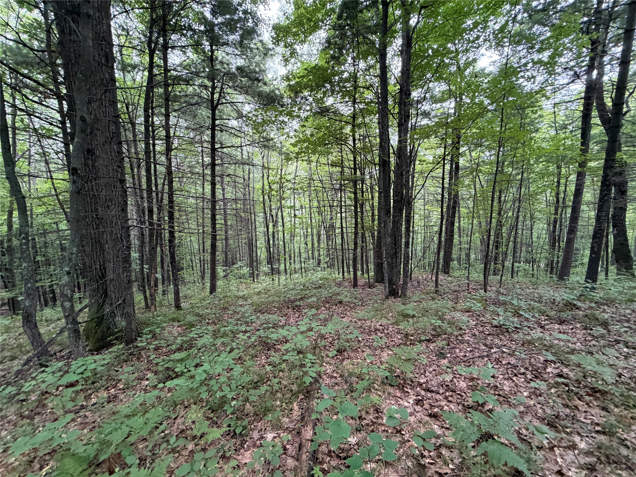 Lot 1 Nor Wis Road Property Photo 22