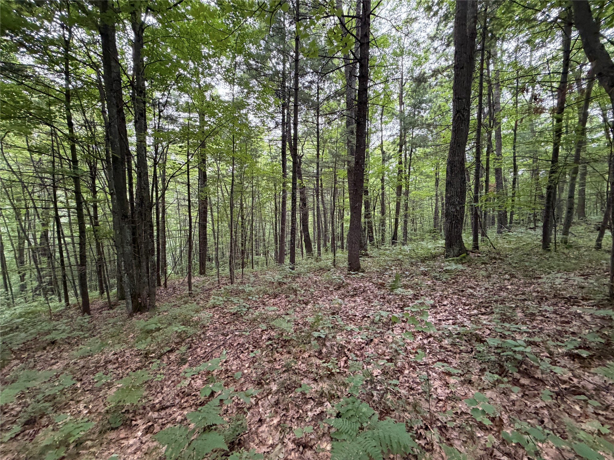 Lot 1 Nor Wis Road Property Photo 23