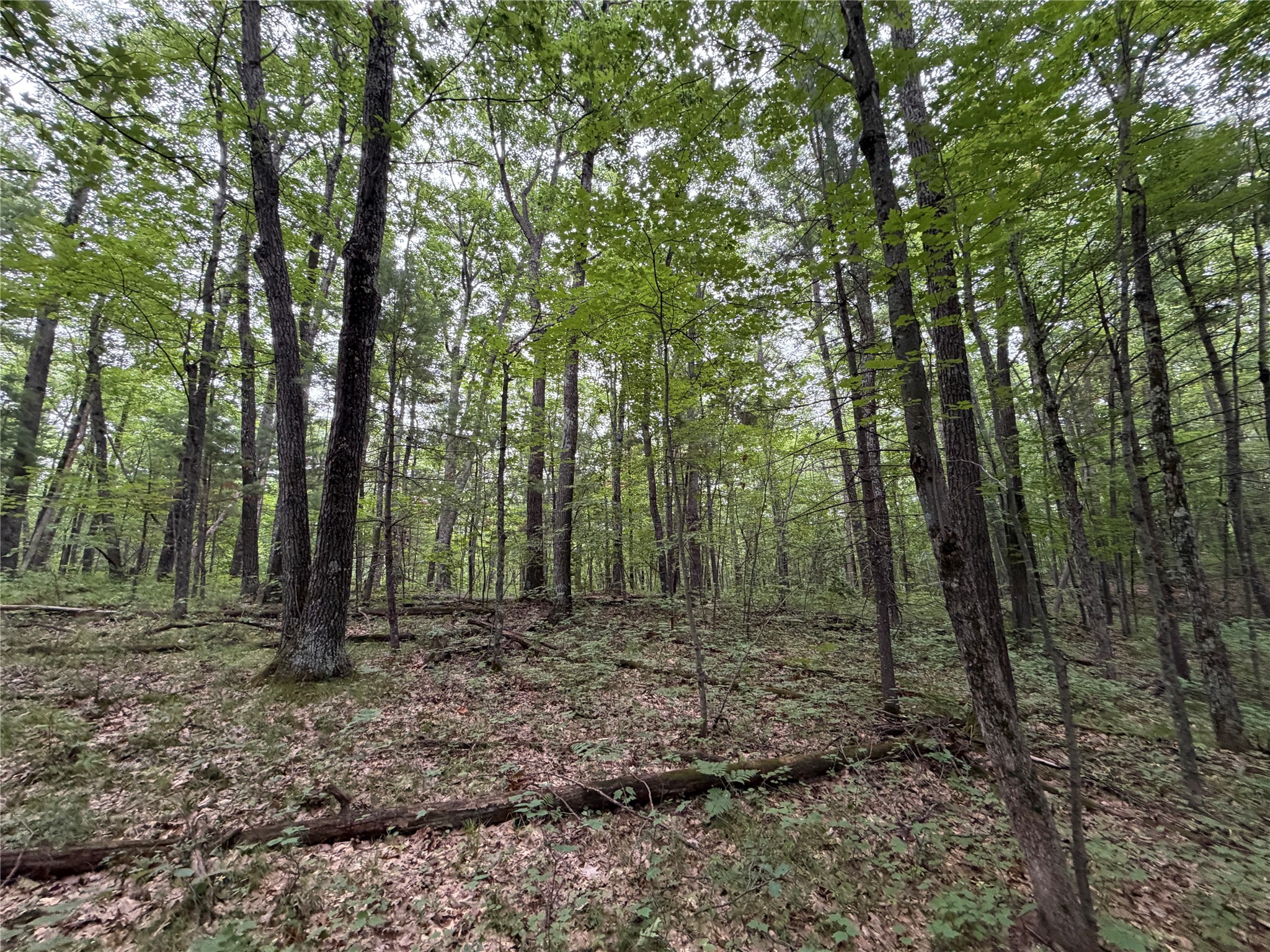 Lot 1 Nor Wis Road Property Photo 25