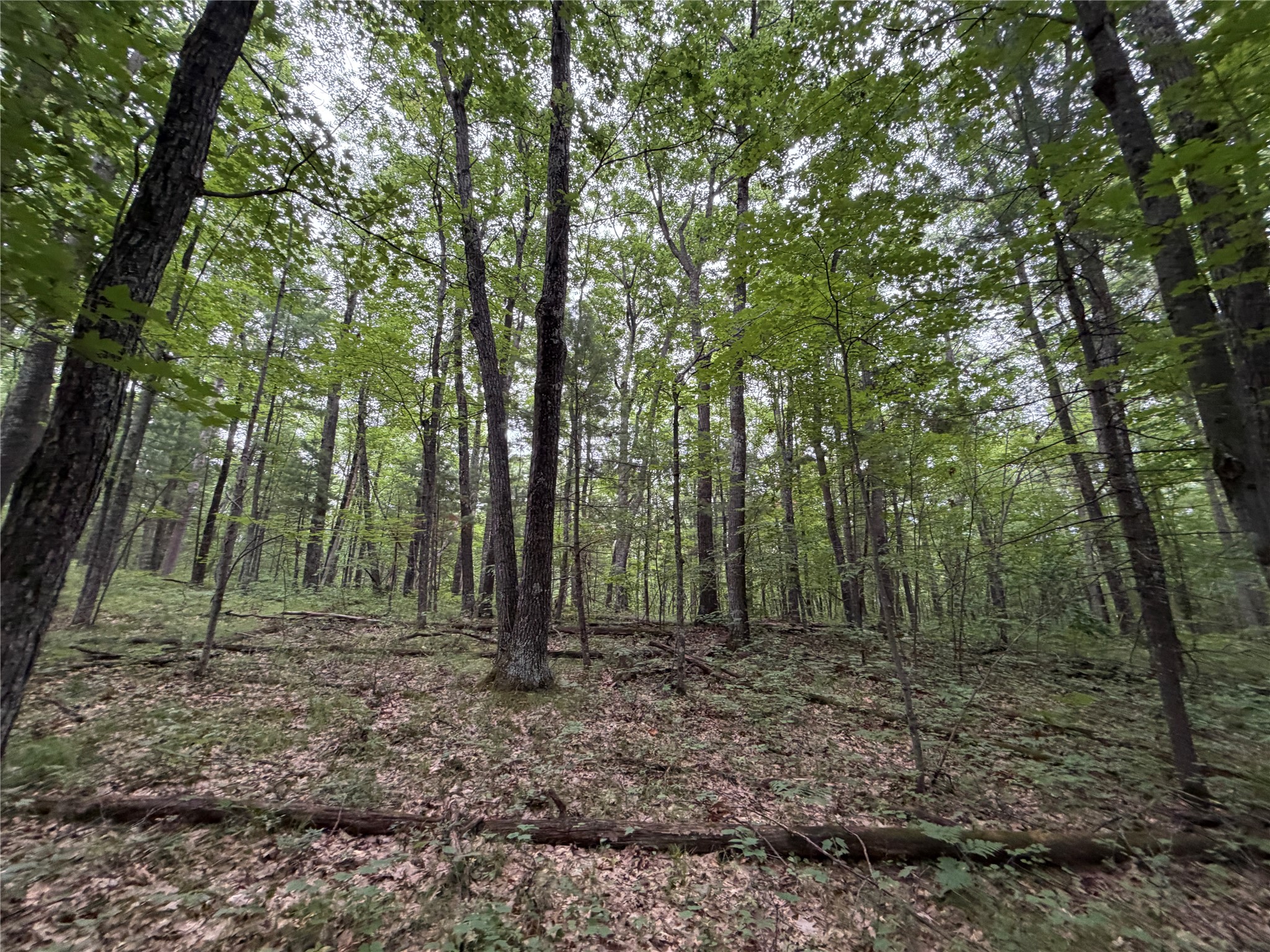 Lot 1 Nor Wis Road Property Photo 26
