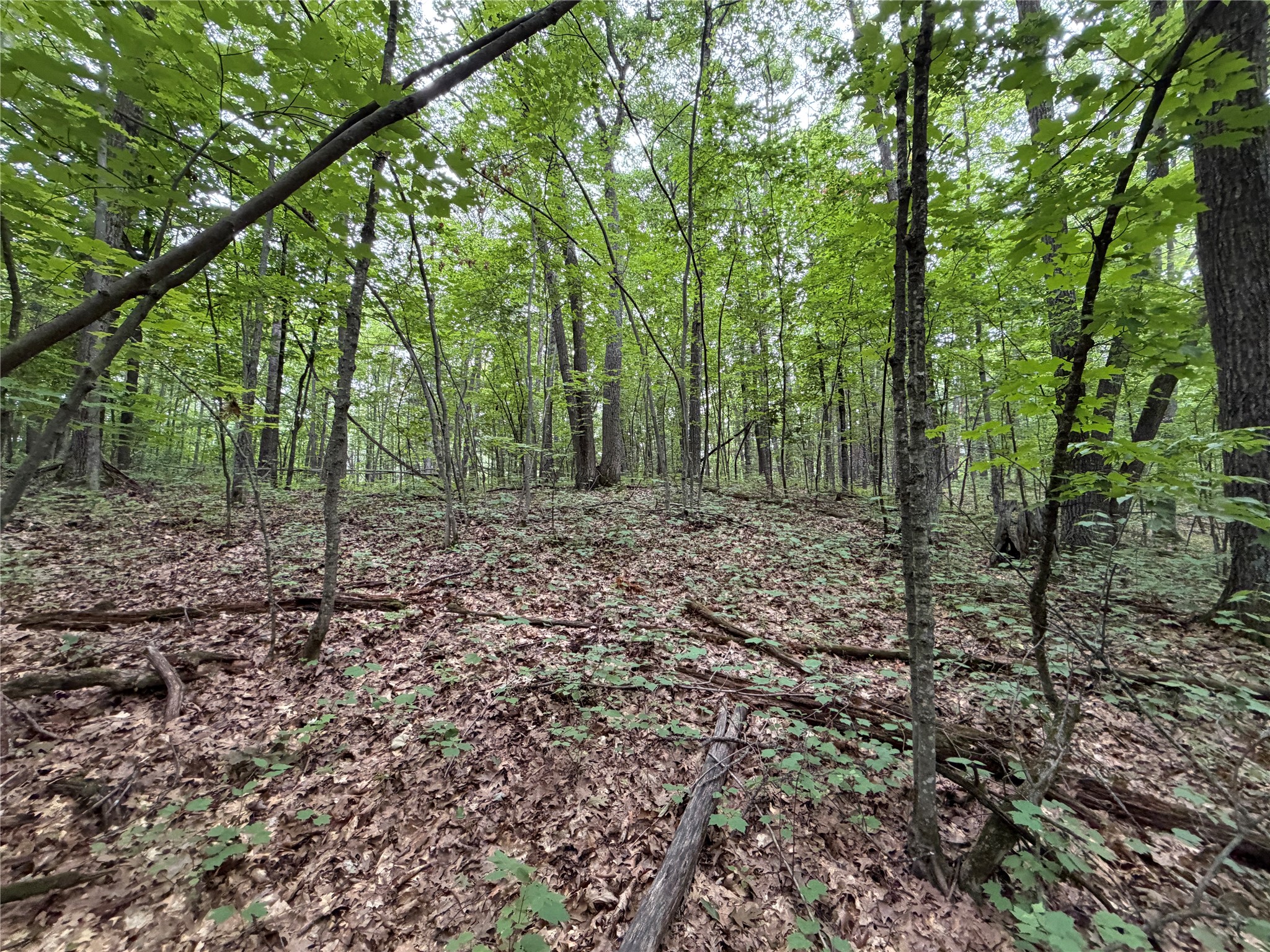 Lot 1 Nor Wis Road Property Photo 27