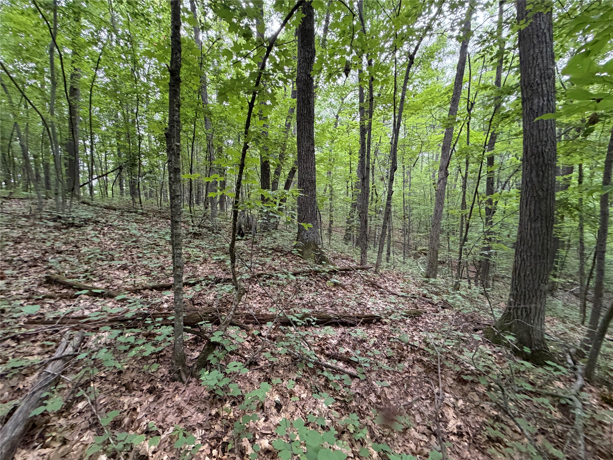 Lot 1 Nor Wis Road Property Photo 28