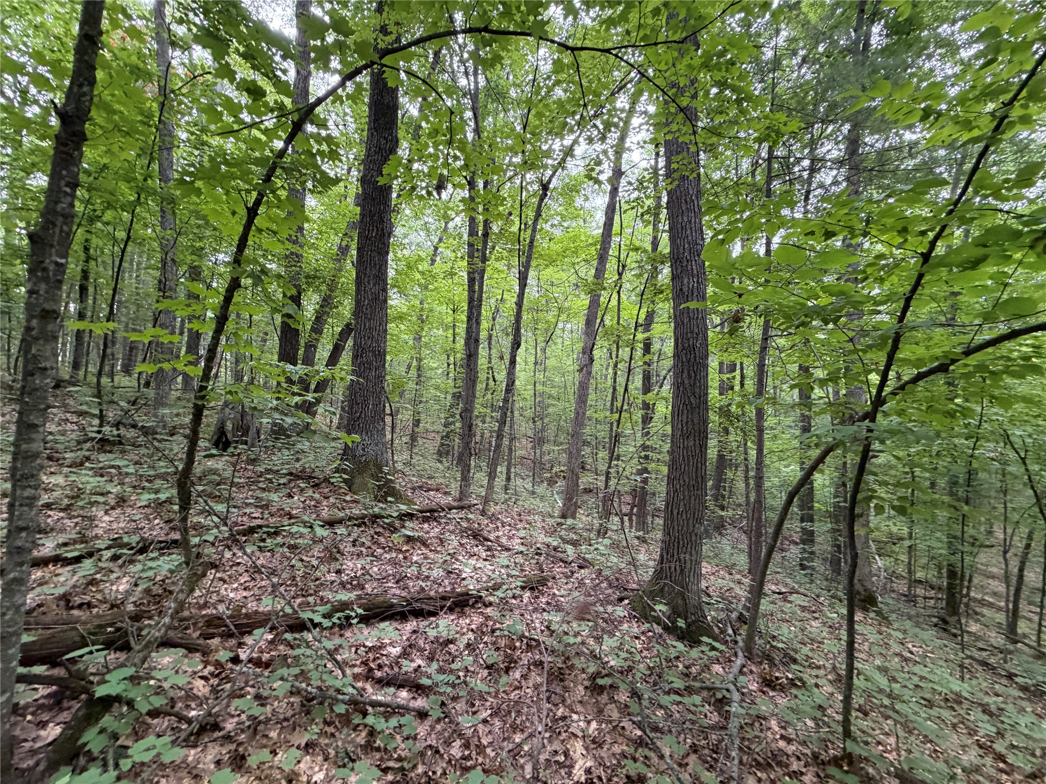 Lot 1 Nor Wis Road Property Photo 29