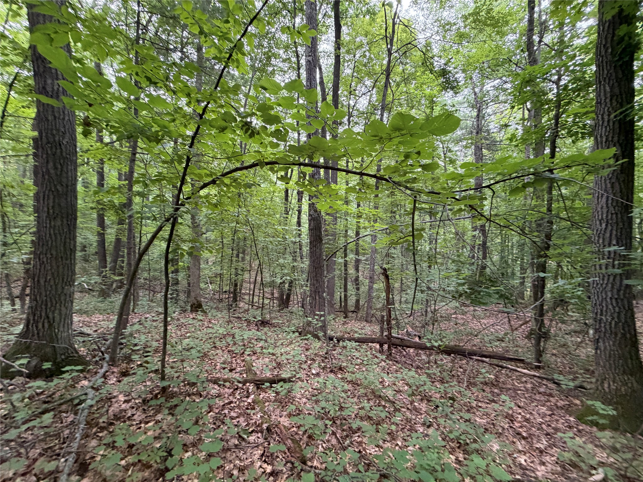 Lot 1 Nor Wis Road Property Photo 30
