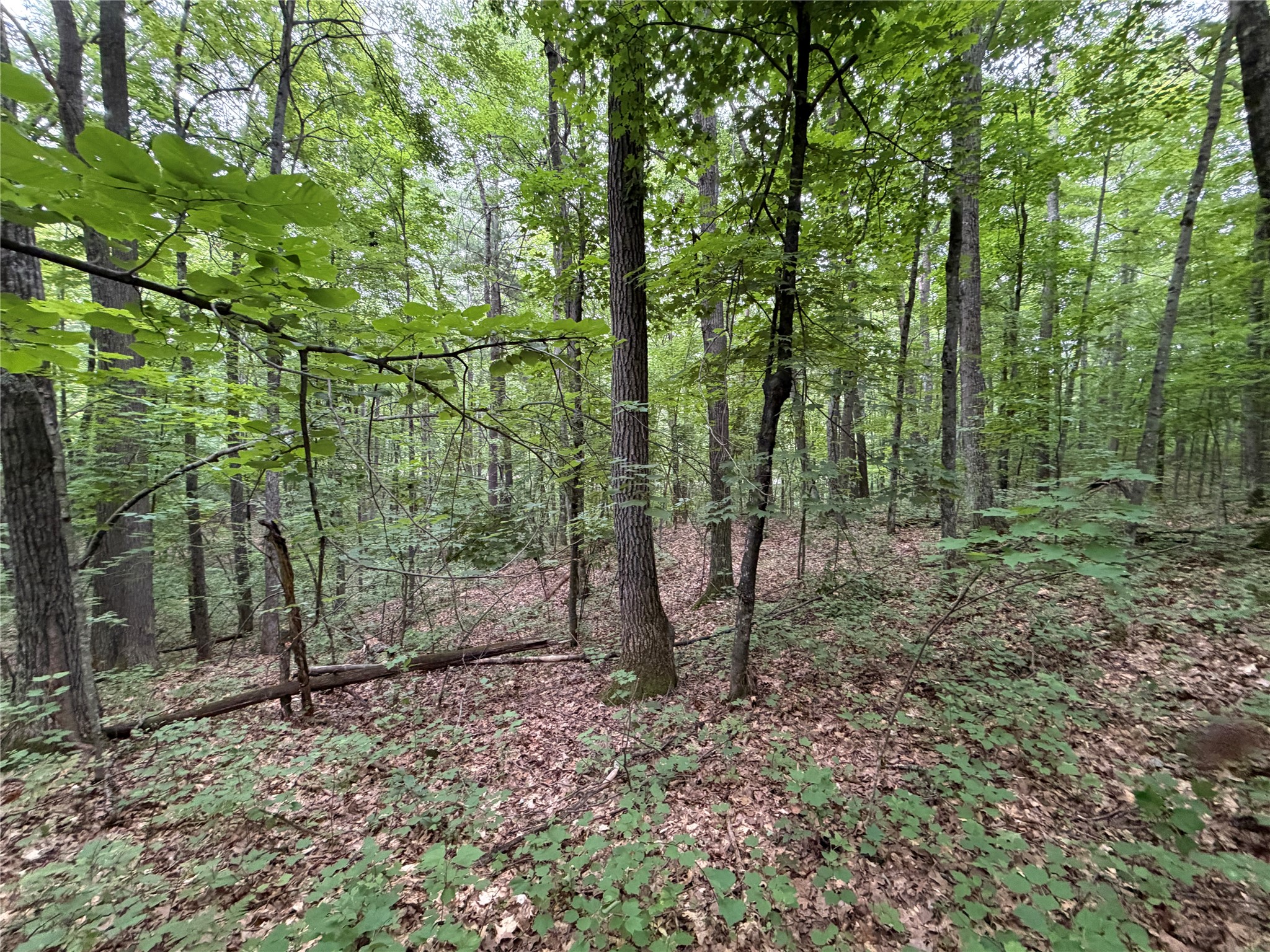 Lot 1 Nor Wis Road Property Photo 31