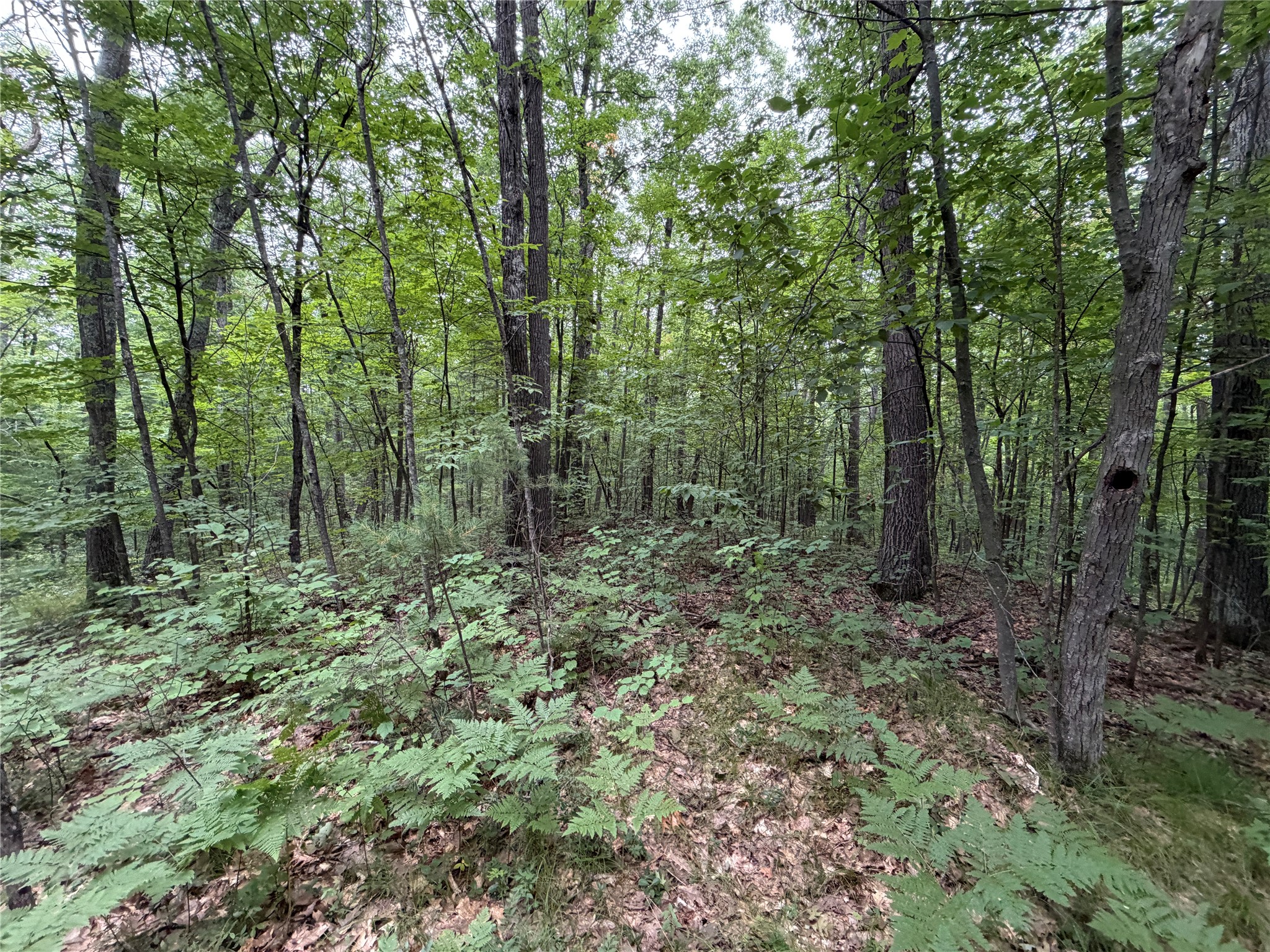 Lot 1 Nor Wis Road Property Photo 32