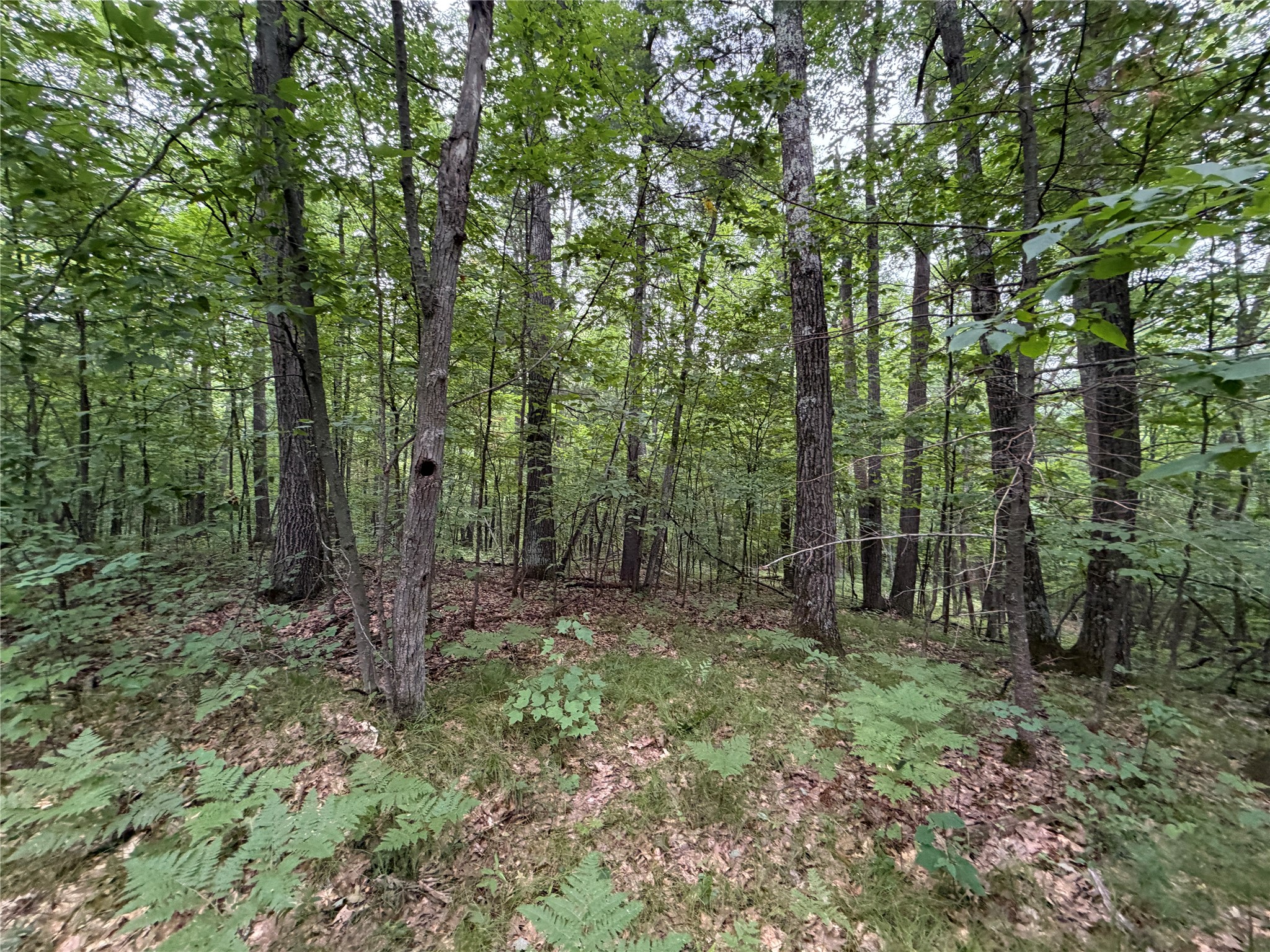 Lot 1 Nor Wis Road Property Photo 33