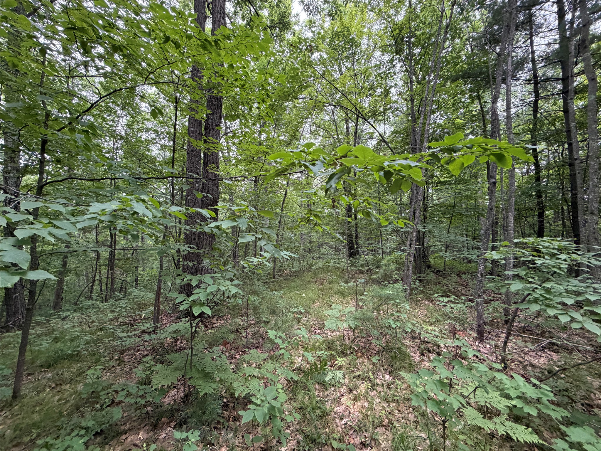 Lot 1 Nor Wis Road Property Photo 34