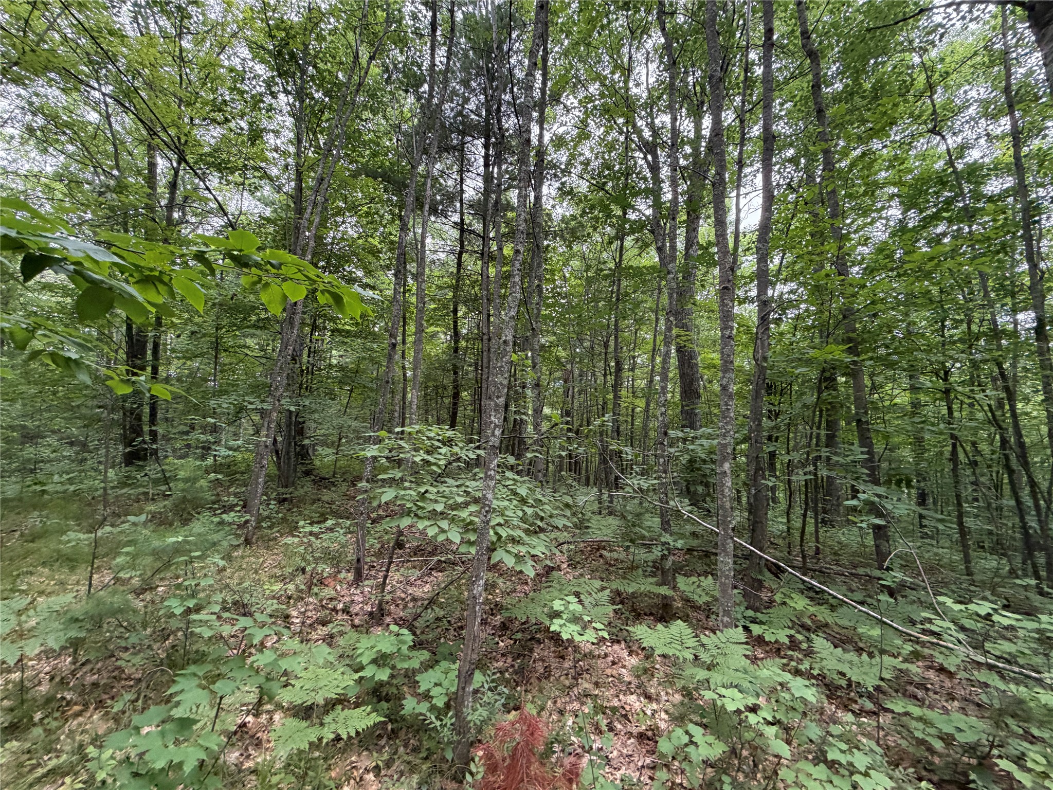Lot 1 Nor Wis Road Property Photo 35