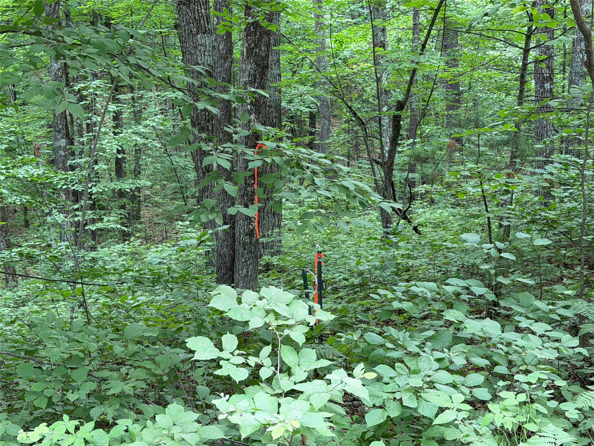 Lot 1 Nor Wis Road Property Photo 37