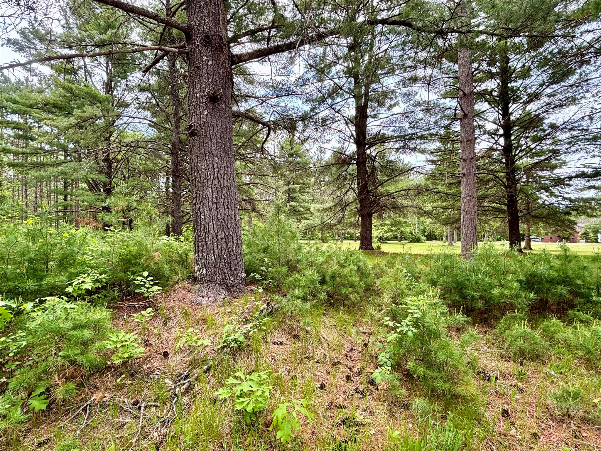 0 W Arrow Road Property Photo 7