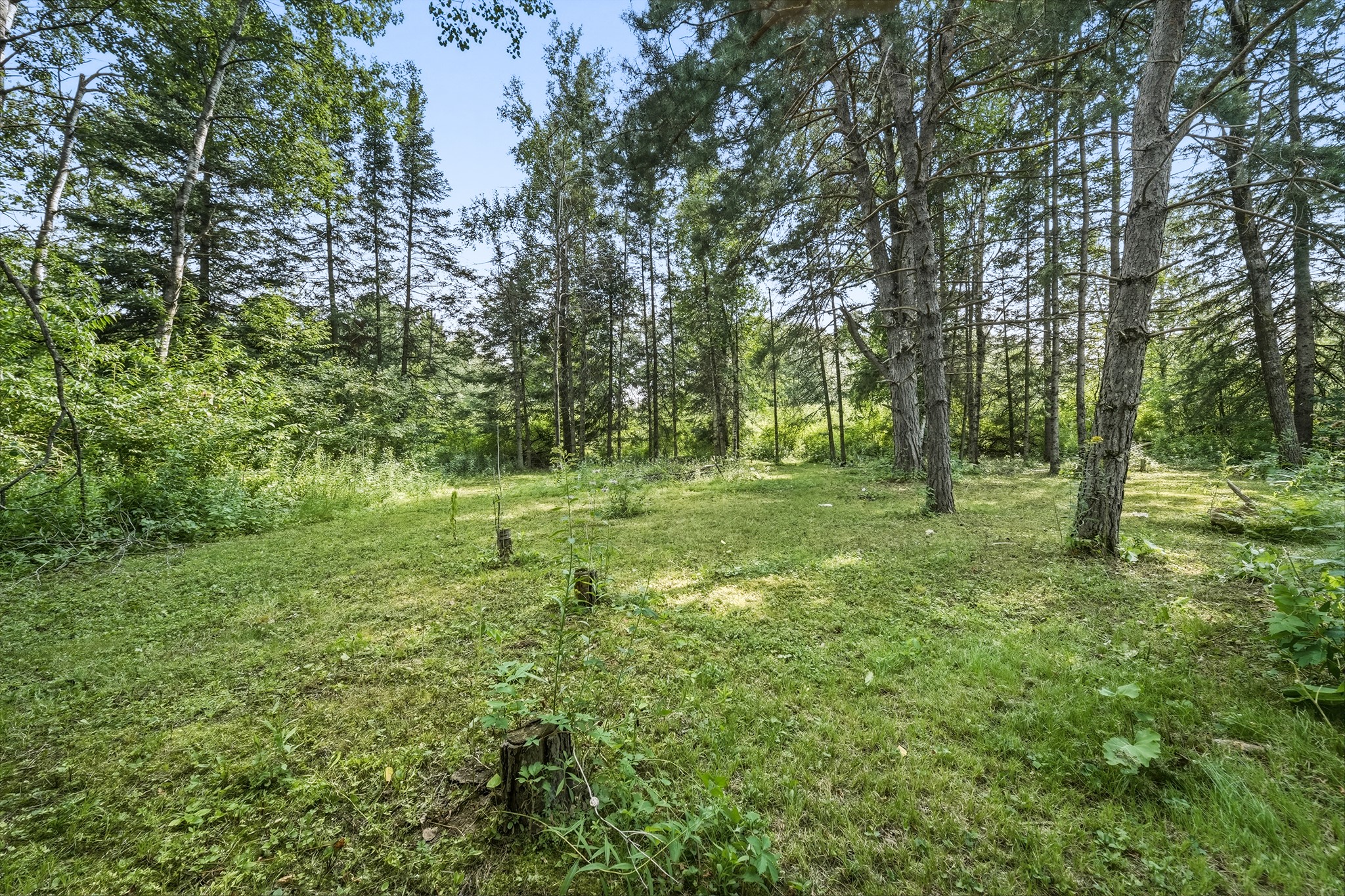 11005 W State Highway 48 Property Photo 43
