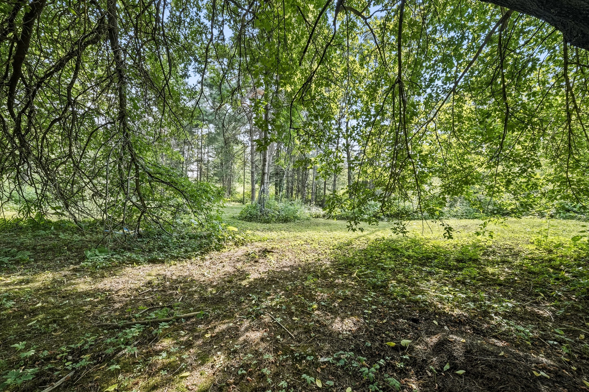 11005 W State Highway 48 Property Photo 46