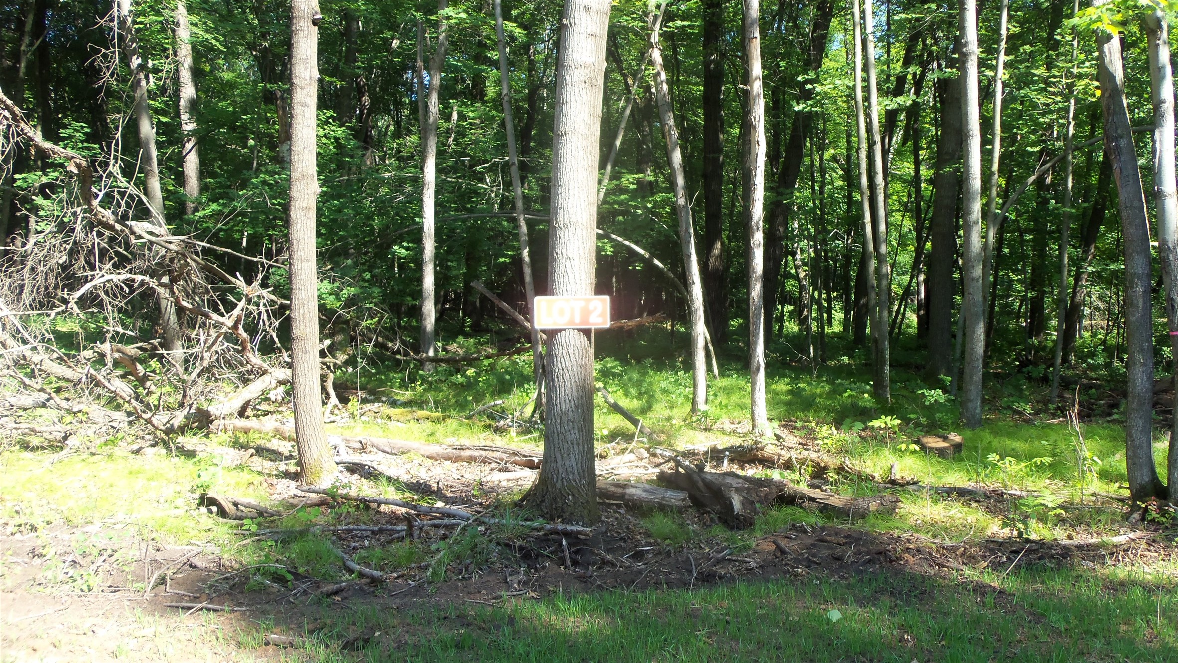 Lot 2 Howard Johnson Trail Property Photo 1