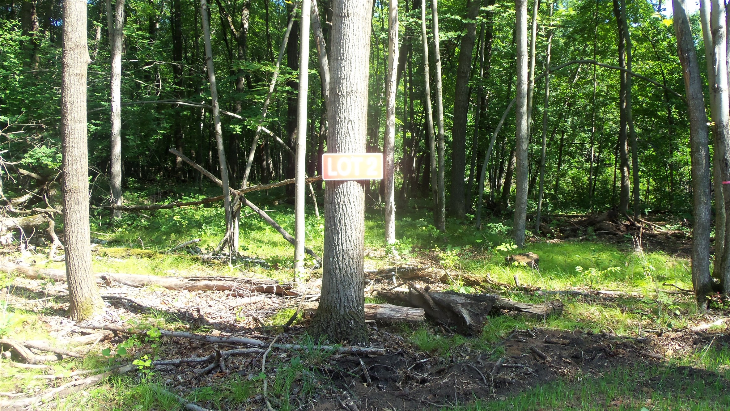 Lot 2 Howard Johnson Trail Property Photo 2