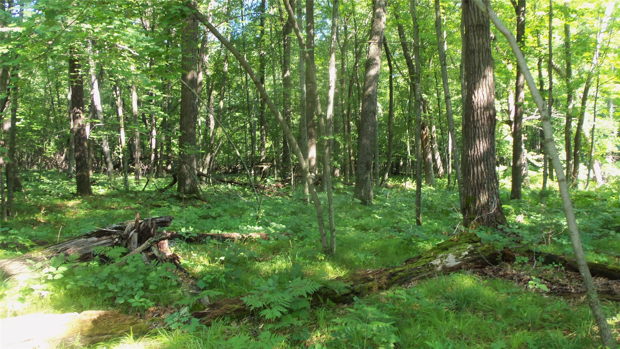 Lot 2 Howard Johnson Trail Property Photo 4