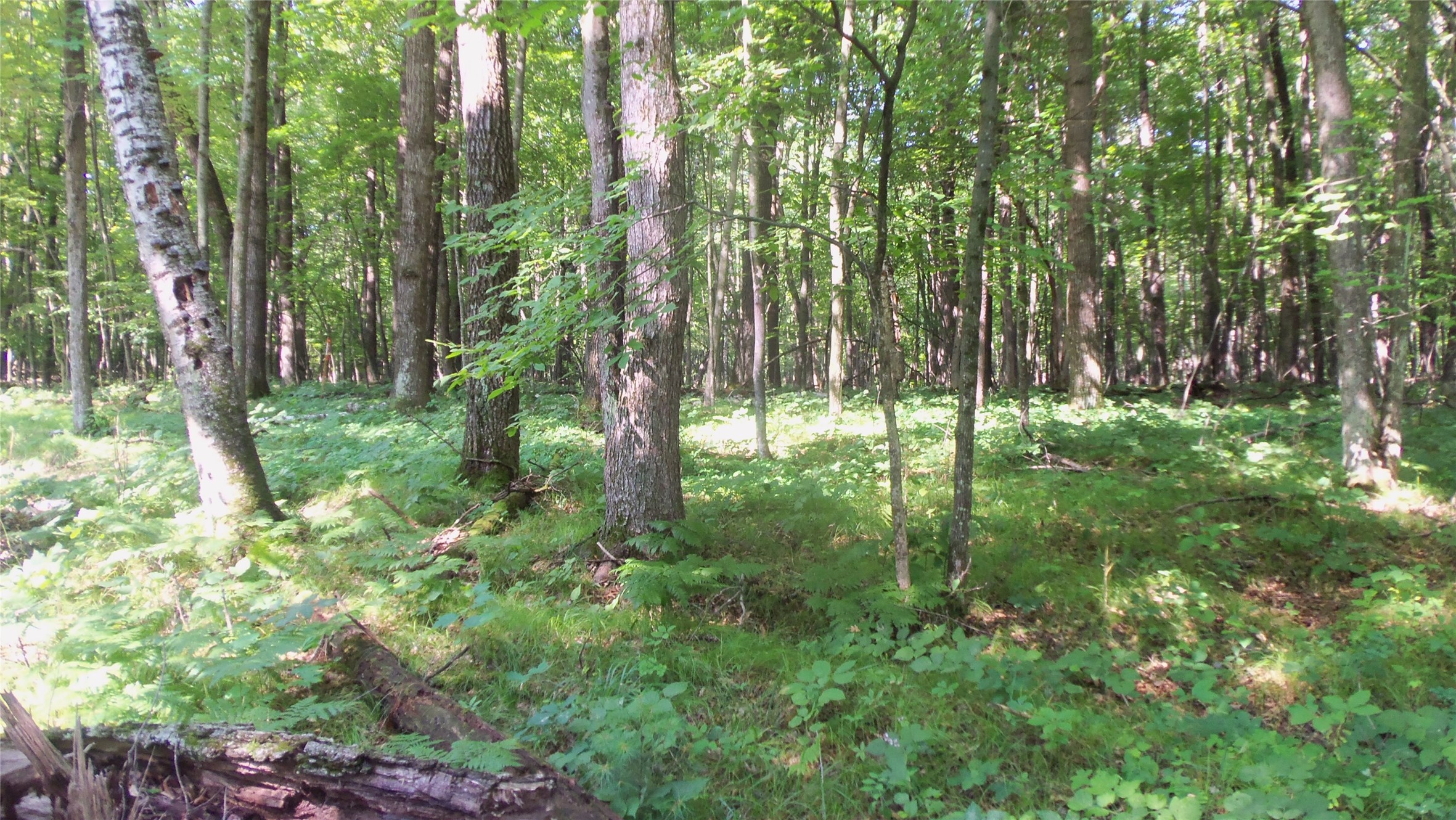 Lot 2 Howard Johnson Trail Property Photo 5
