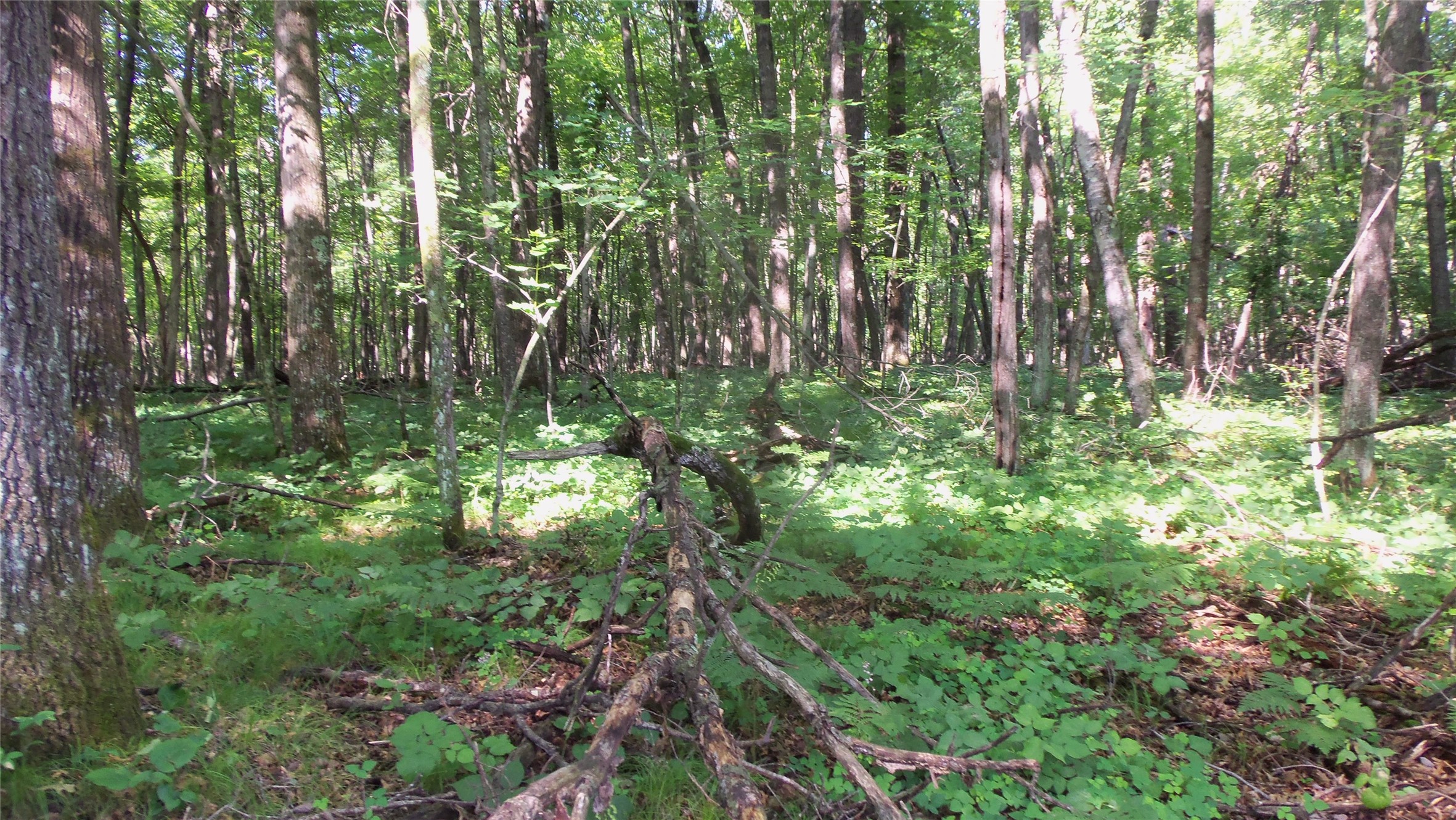Lot 2 Howard Johnson Trail Property Photo 7