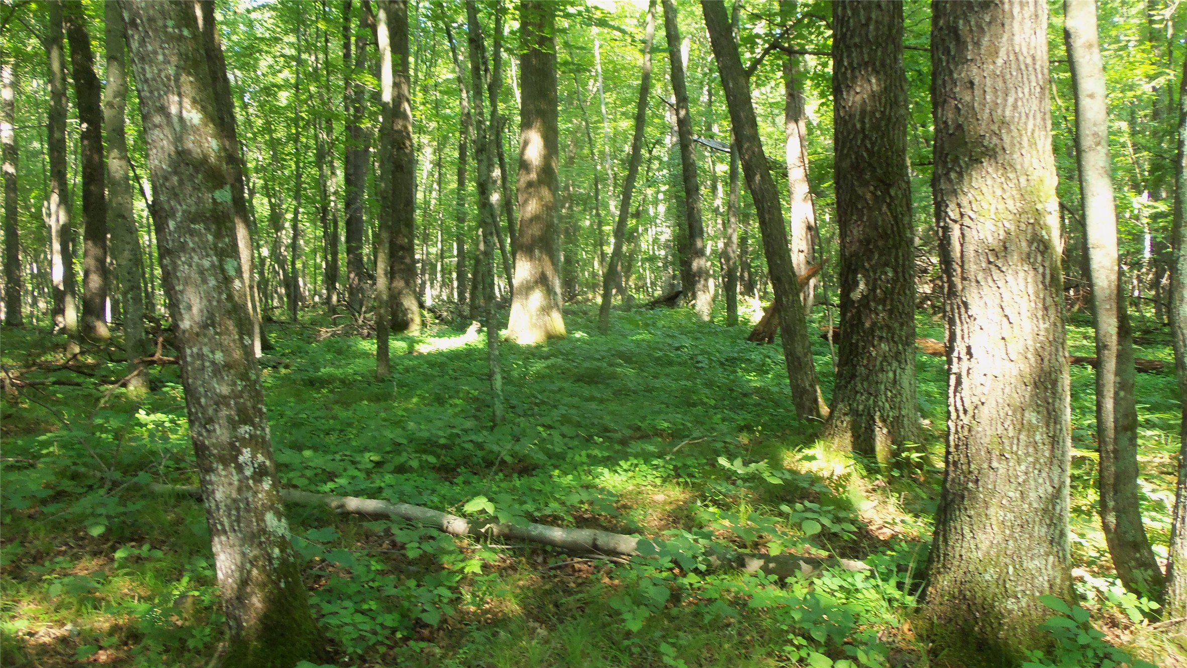Lot 2 Howard Johnson Trail Property Photo 9