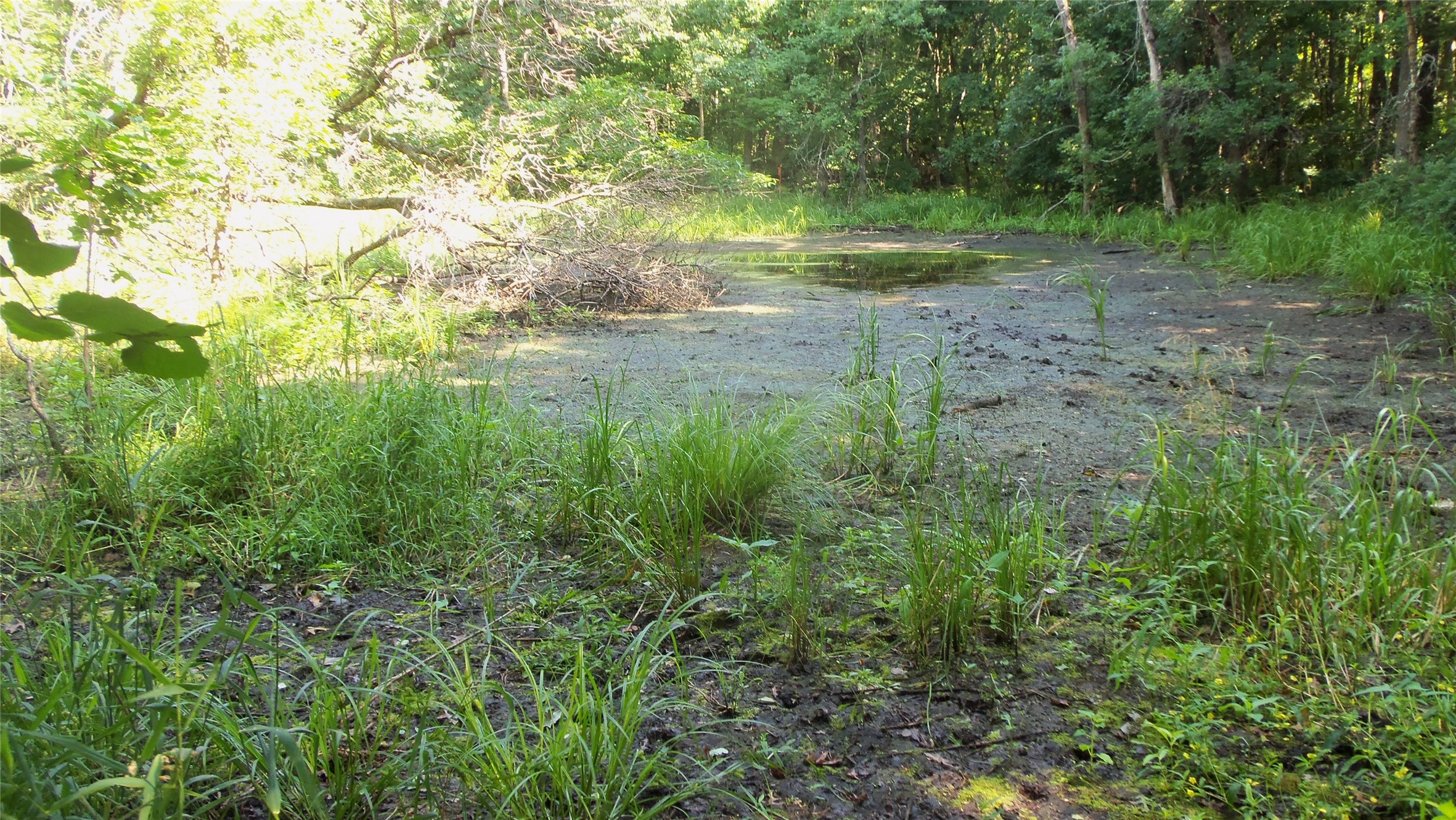 Lot 2 Howard Johnson Trail Property Photo 10