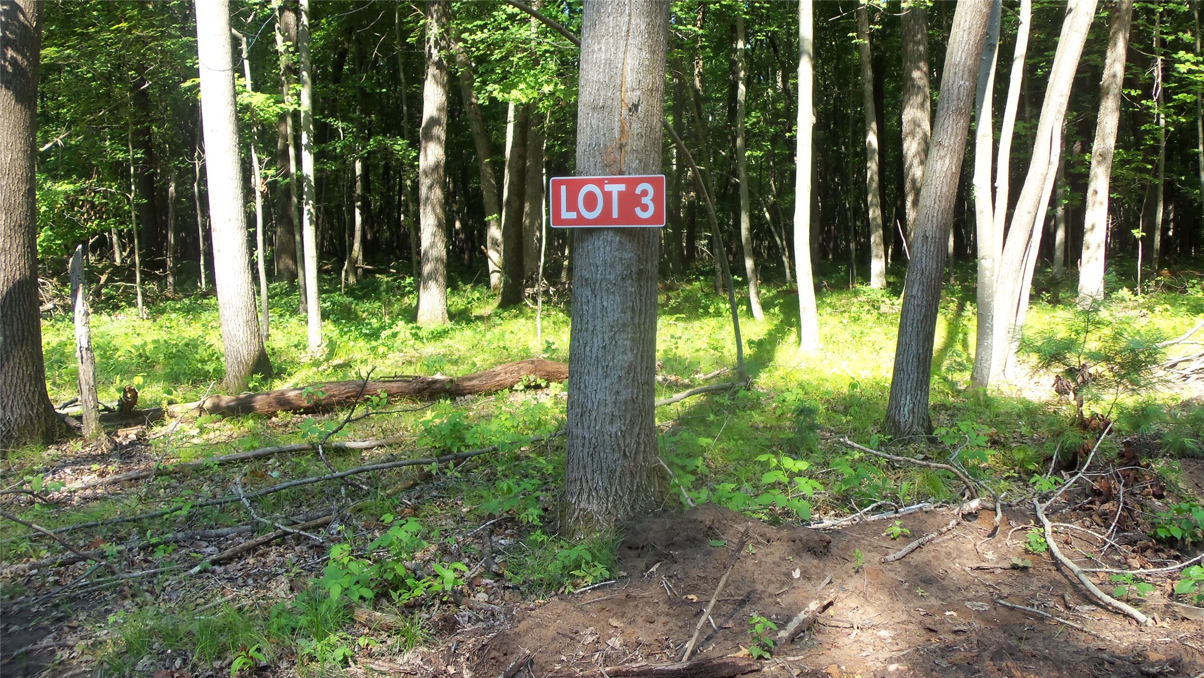 Lot 3 Howard Johnson Trail Property Photo 1