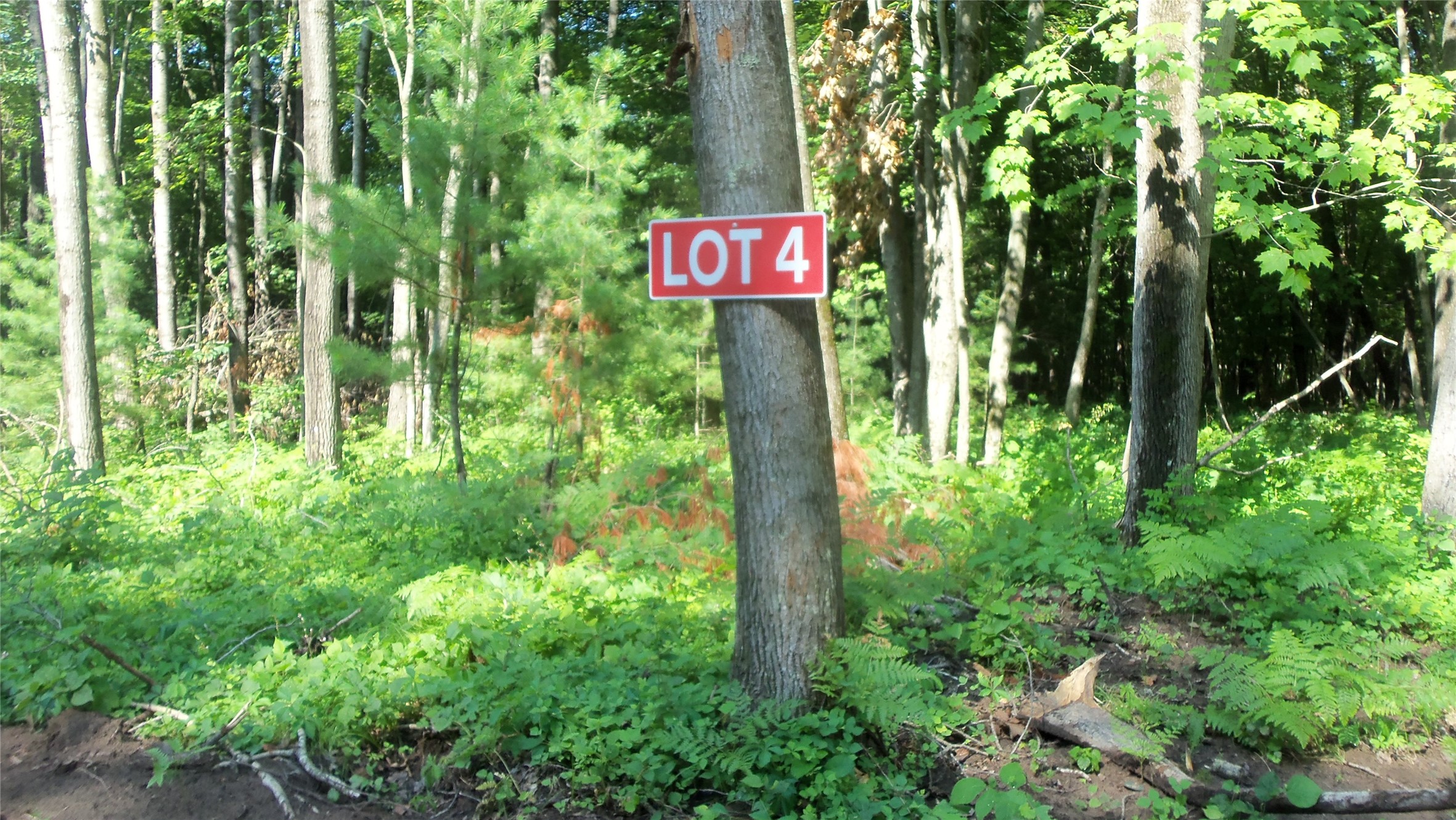 Lot 4 Howard Johnson Trail Property Photo 2