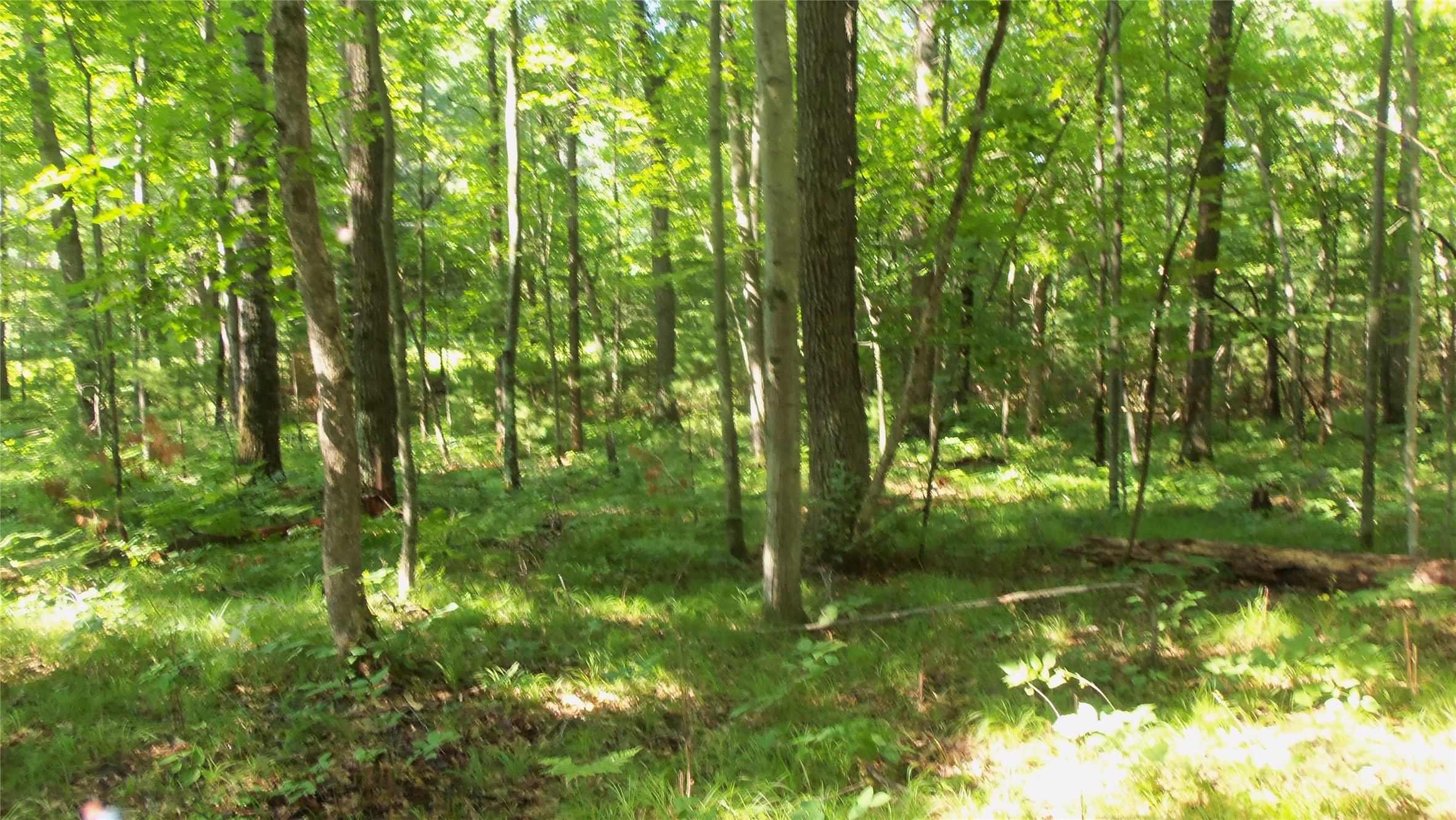 Lot 4 Howard Johnson Trail Property Photo 4