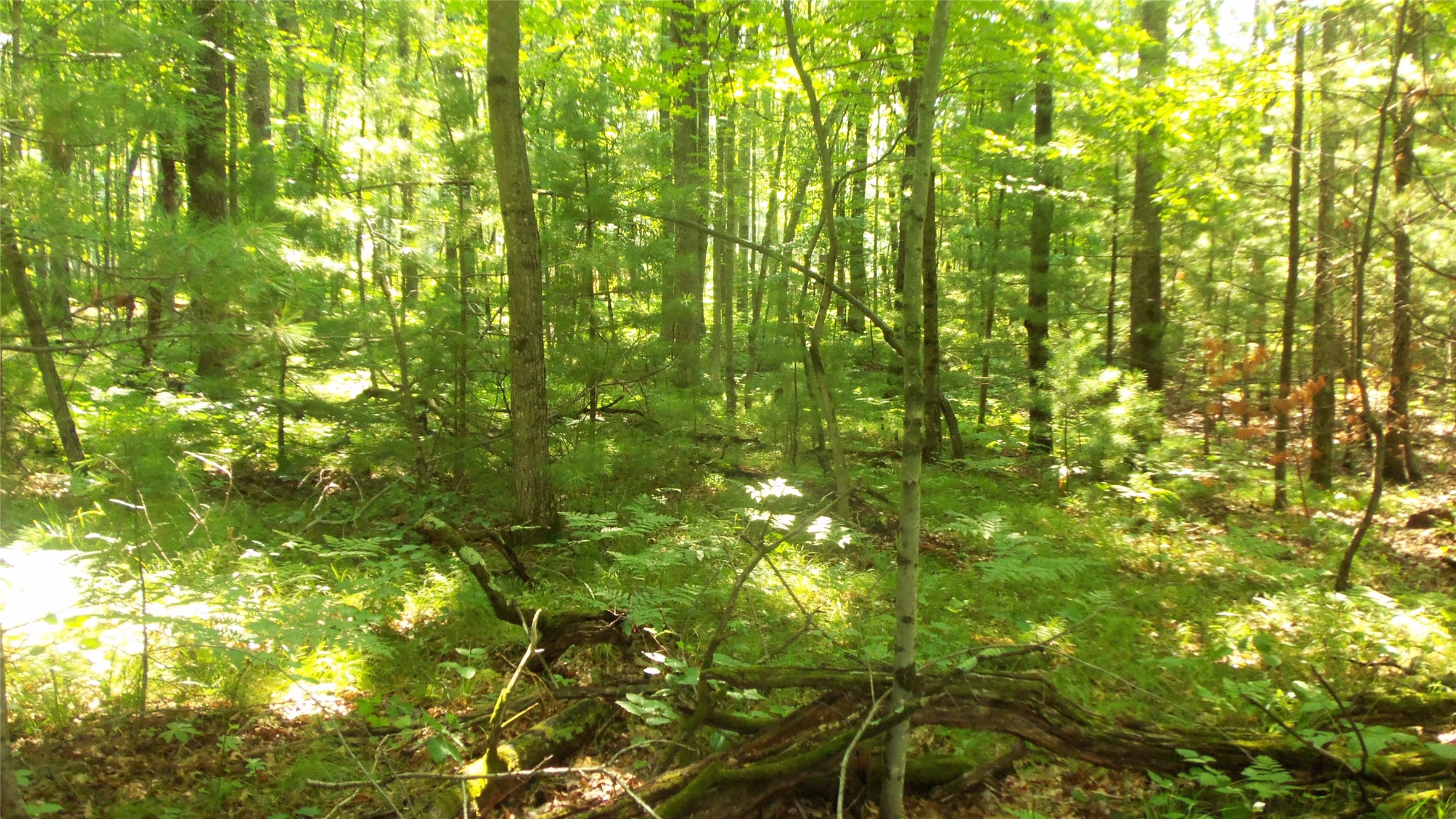 Lot 4 Howard Johnson Trail Property Photo 9
