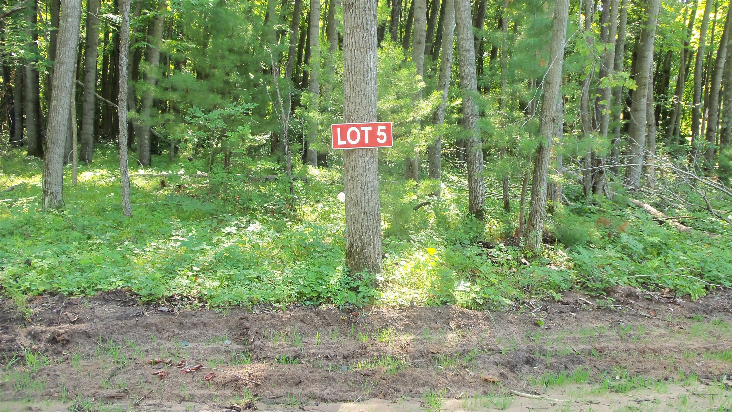 Lot 5 Howard Johnson Trail Property Photo 1