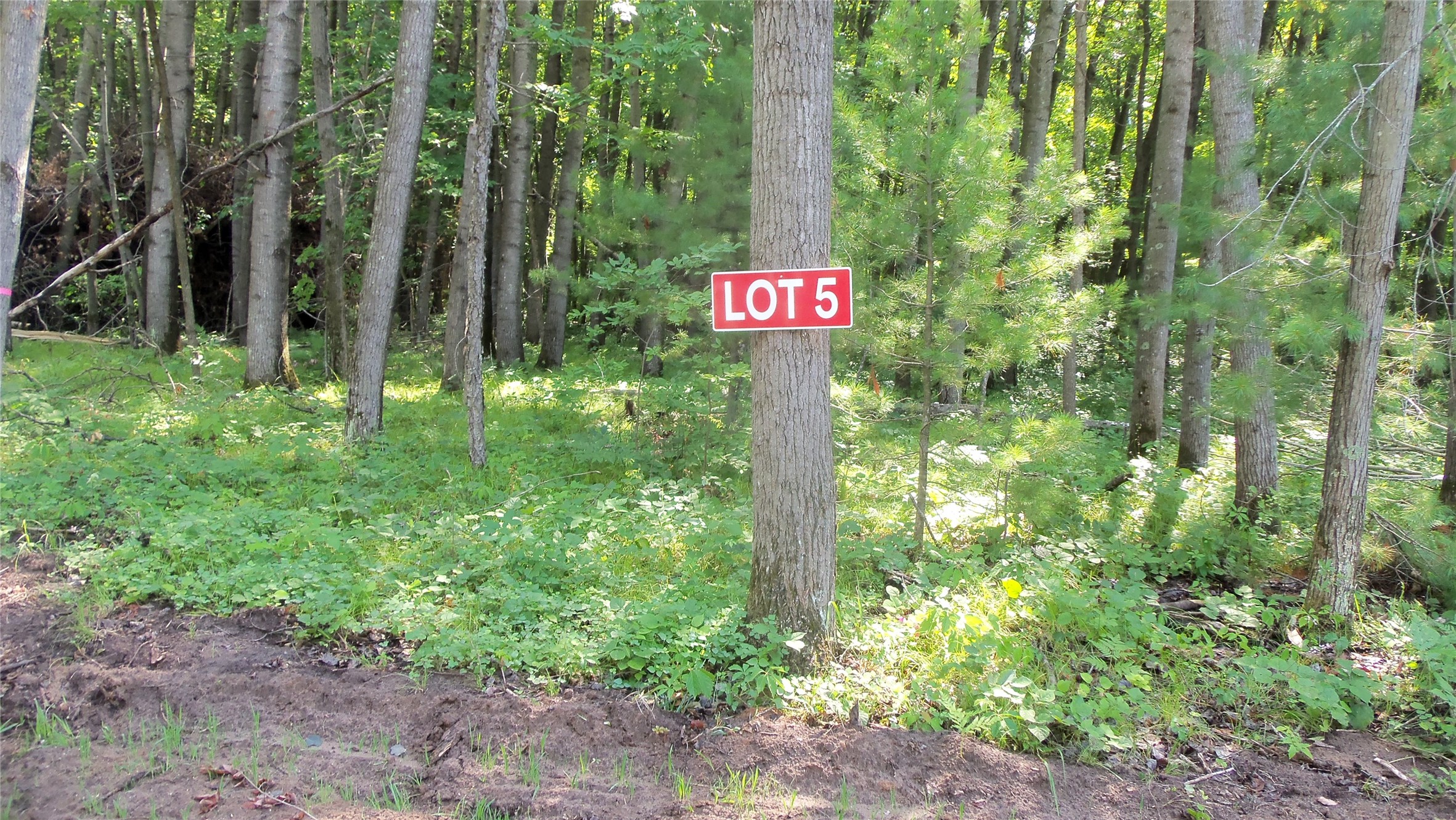 Lot 5 Howard Johnson Trail Property Photo 2