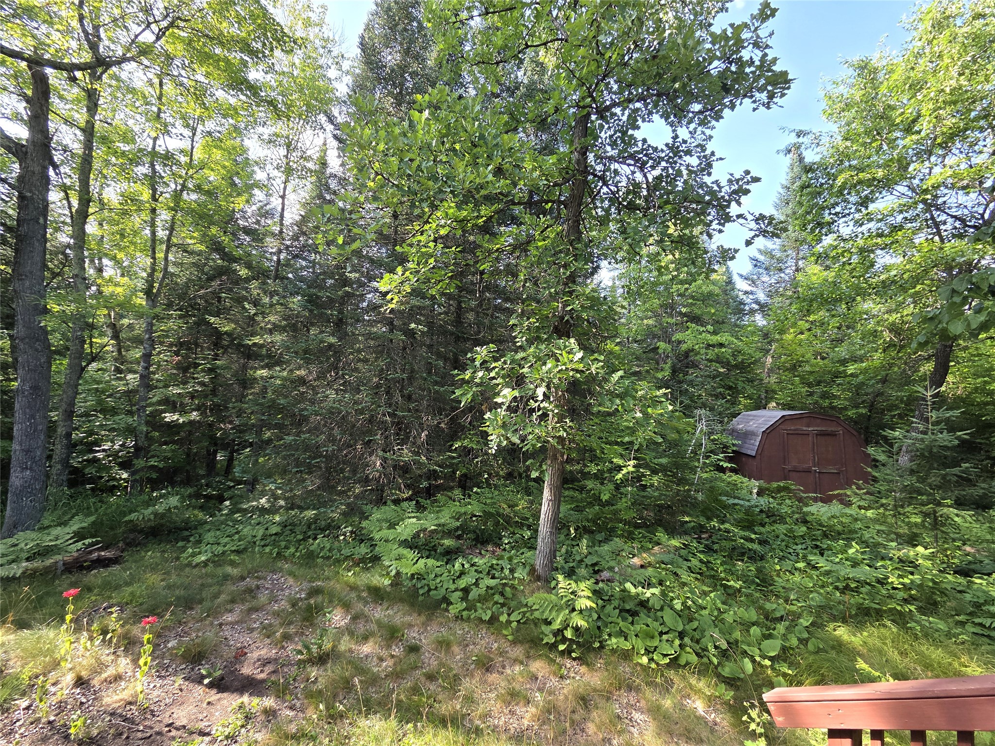 30485 White Tail Drive Property Photo 18