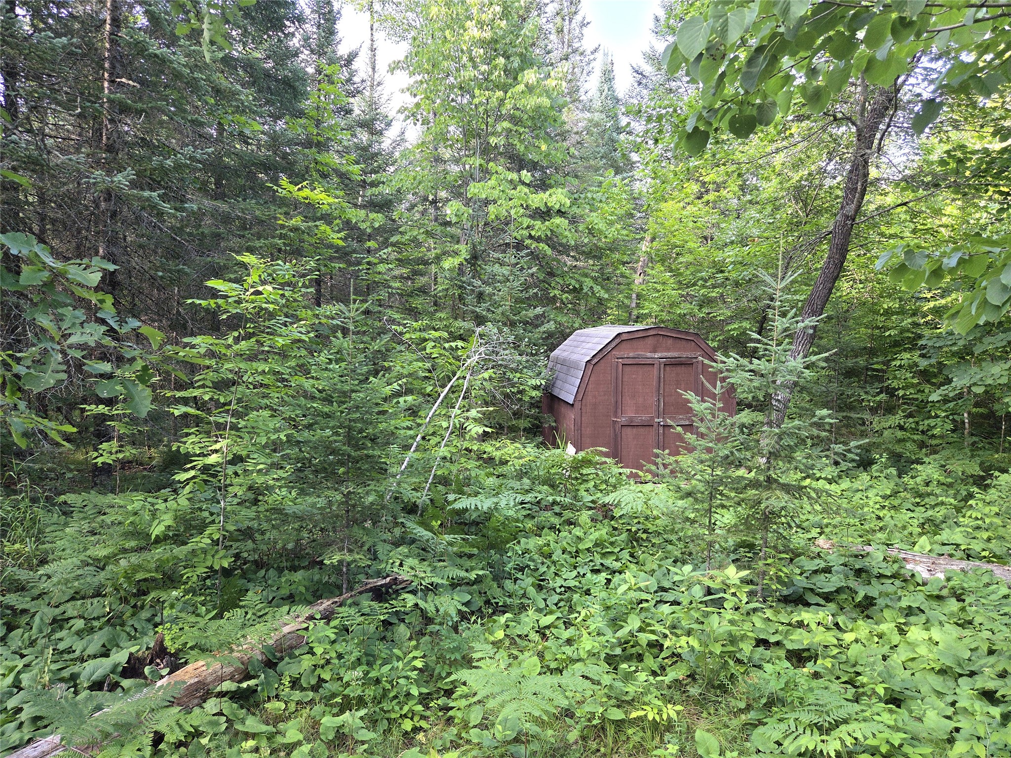 30485 White Tail Drive Property Photo 19