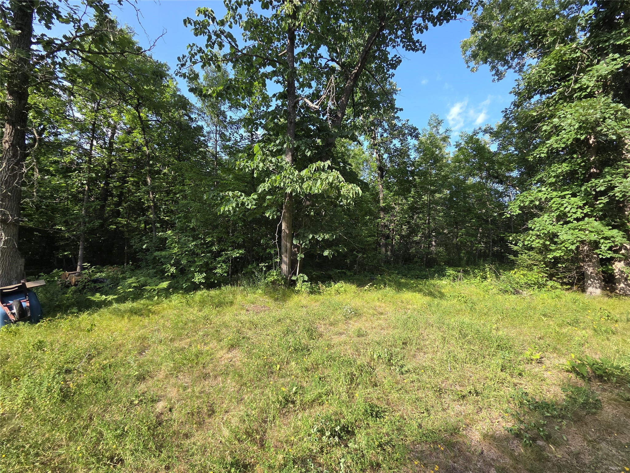 30485 White Tail Drive Property Photo 21