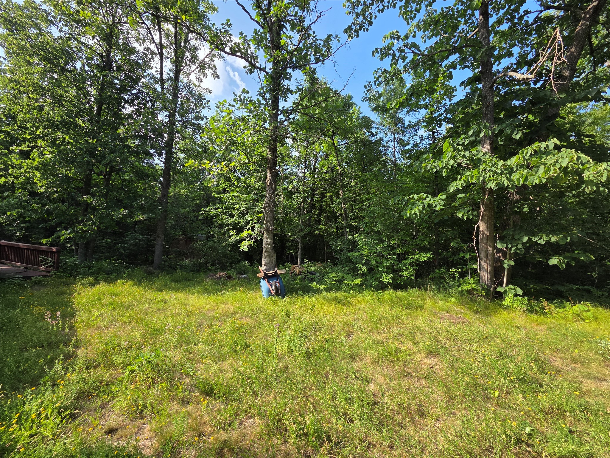 30485 White Tail Drive Property Photo 22