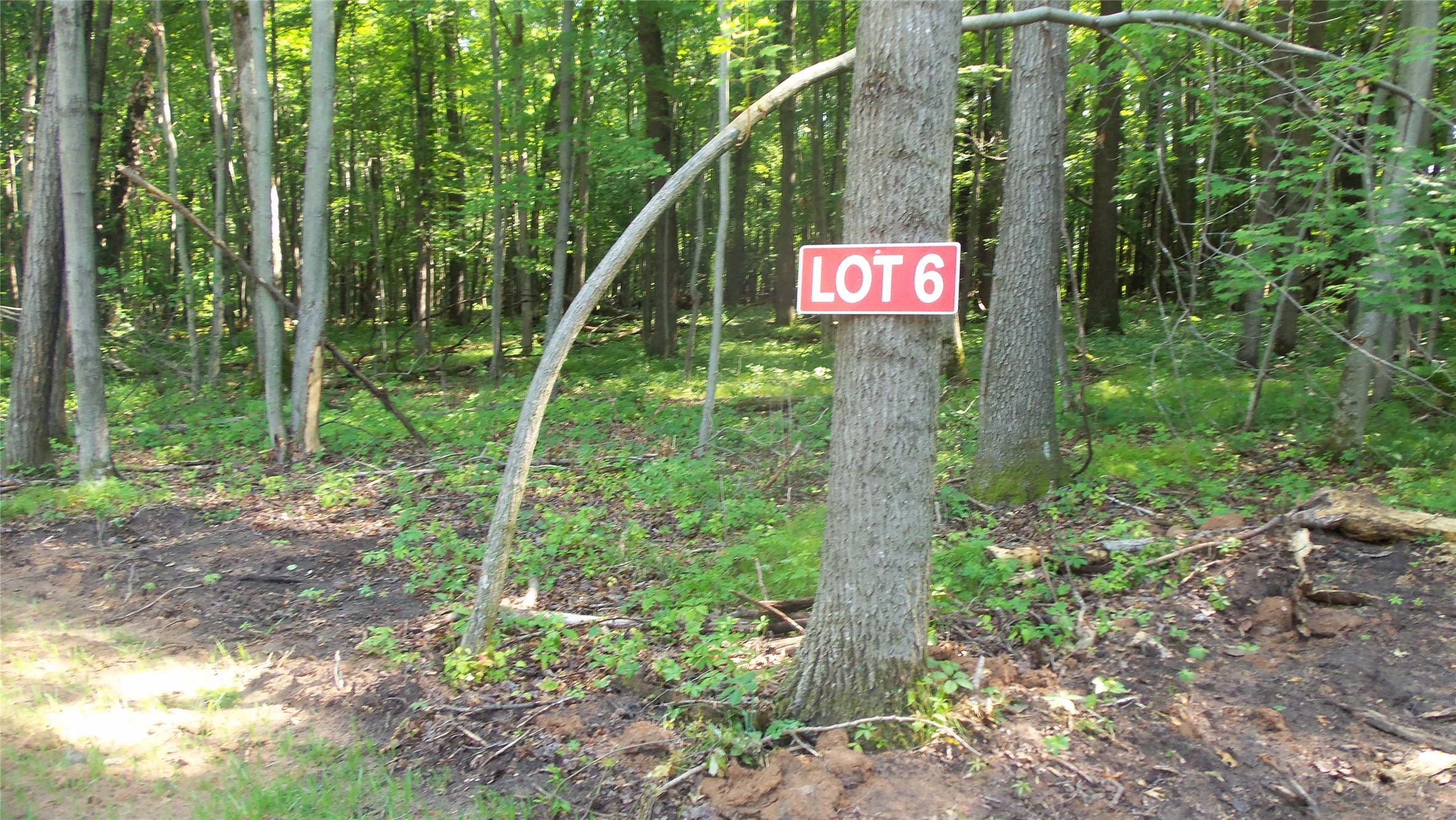 Lot 6 Howard Johnson Trail Property Photo 1