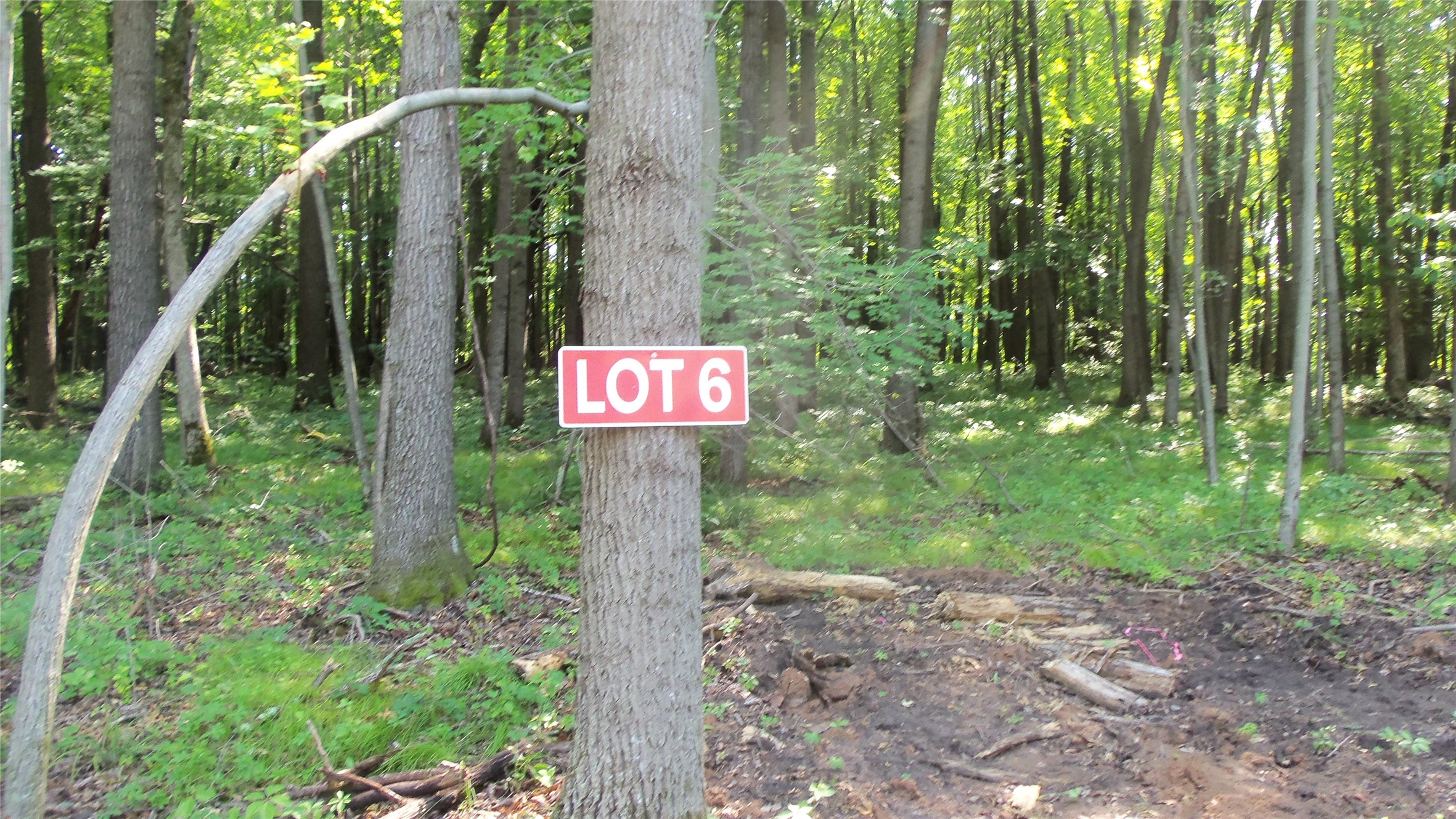 Lot 6 Howard Johnson Trail Property Photo 2