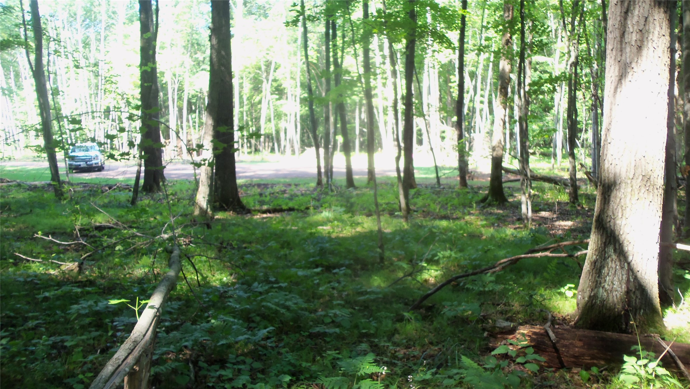 Lot 6 Howard Johnson Trail Property Photo 7