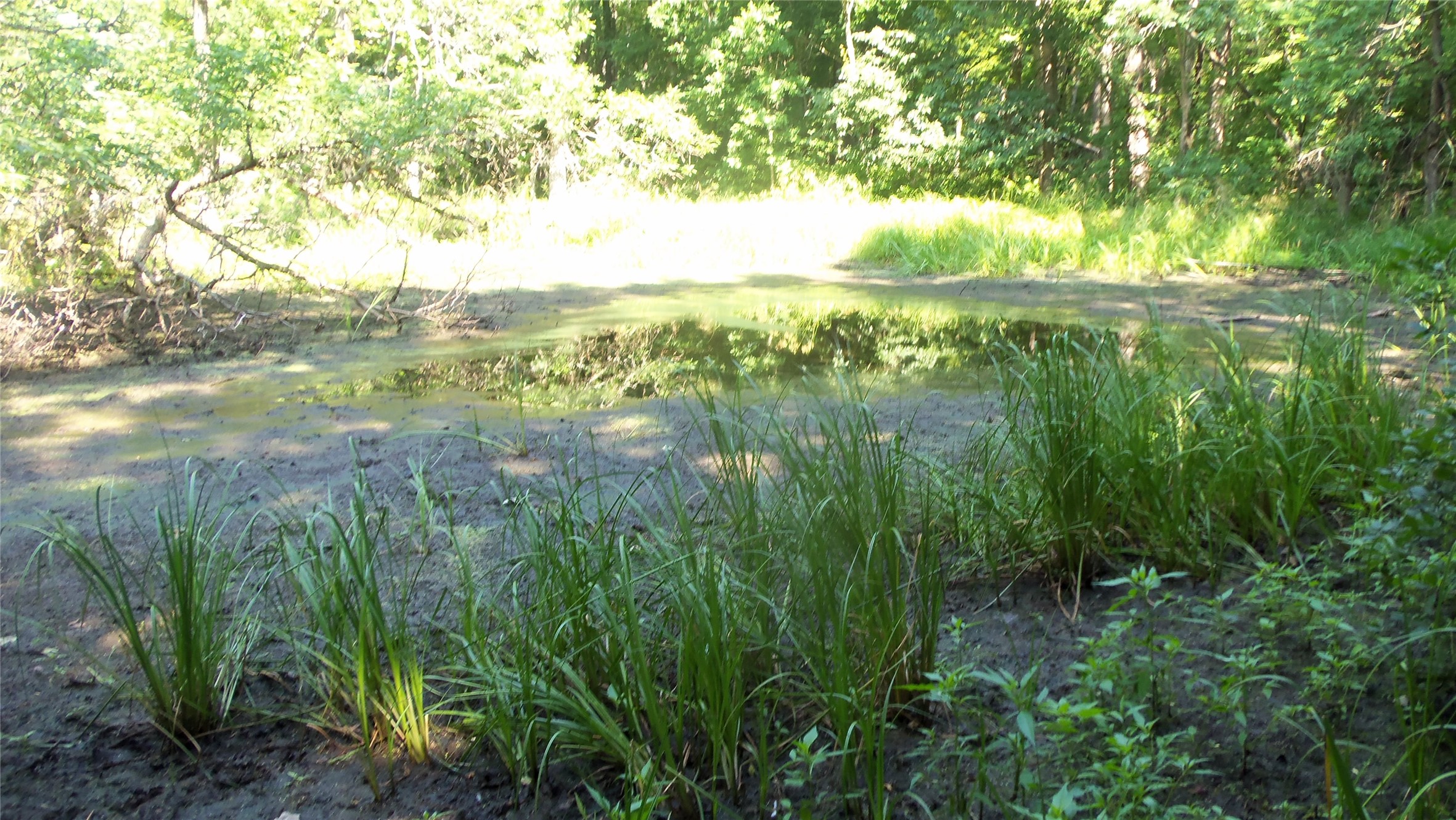 Lot 6 Howard Johnson Trail Property Photo 10